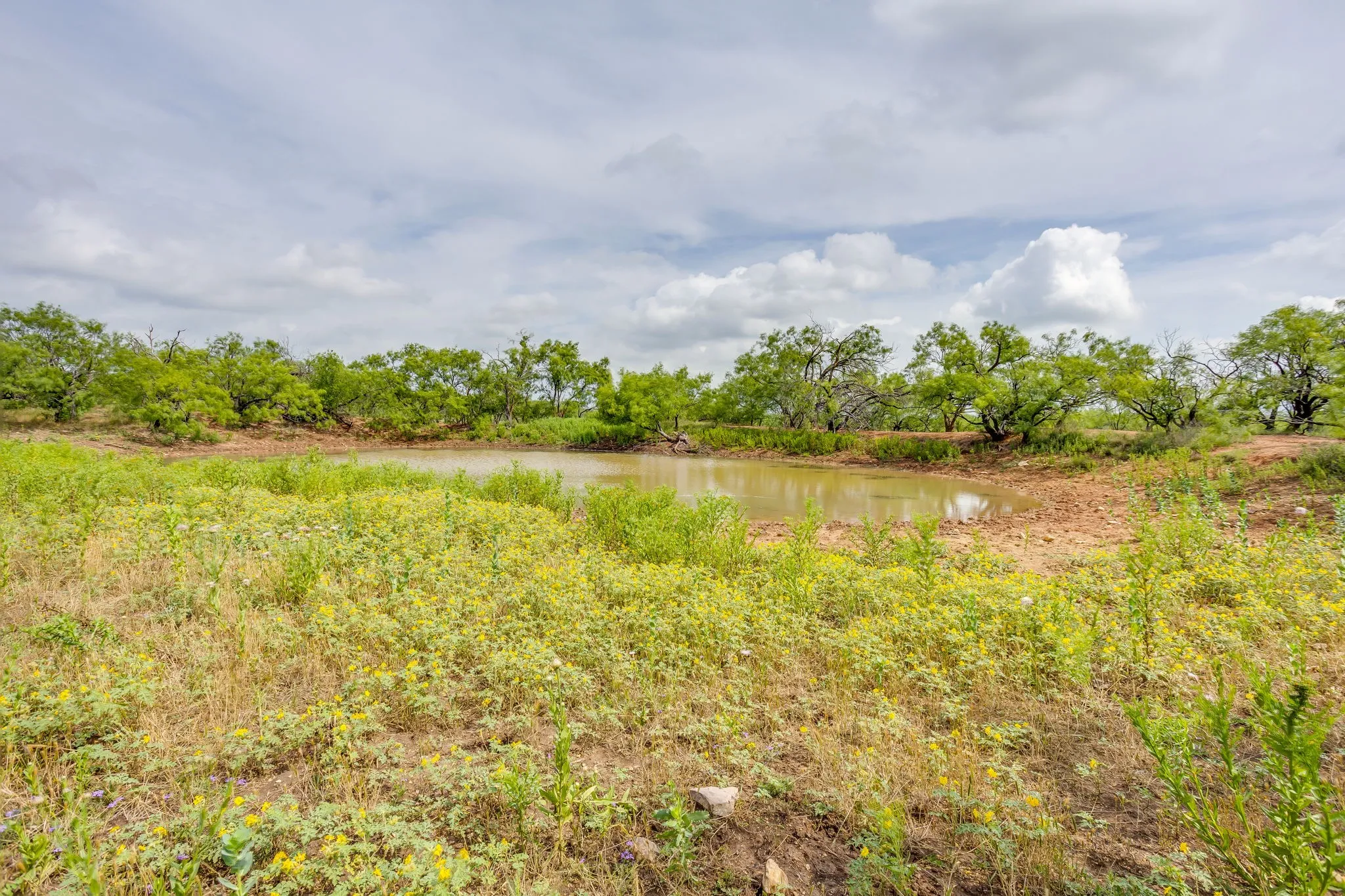 Farm For Sale in Coleman County , 1053 Fm 503, Coleman, Texas 76834, 2 Bedrooms, 2 Bathrooms, 2 Garage spaces, 2,278 Sqft, built in 2009, Price $1,998,000, mls#21290490, Real Estate Agent in Coleman, Homes For Sale in Coleman county, Homes For Sale in Coleman, Realtor in Coleman Texas, Real Estate Brokerage Independent Realty Texas, Luminita Cordes Realtor