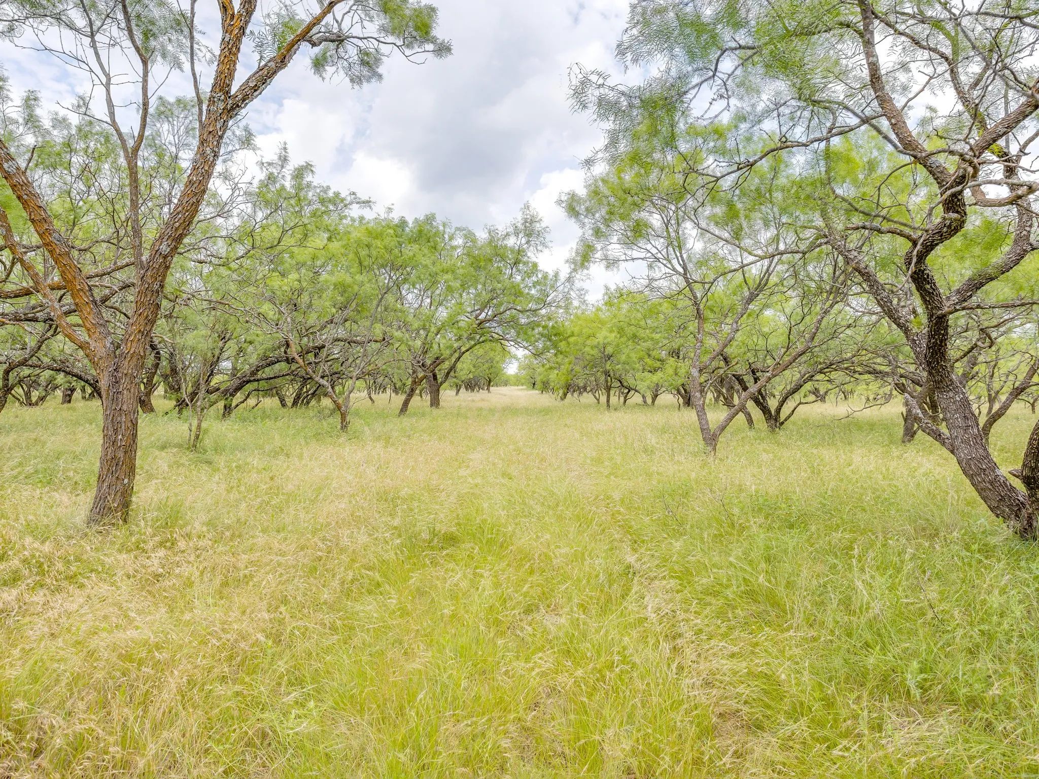 Farm For Sale in Coleman County , 1053 Fm 503, Coleman, Texas 76834, 2 Bedrooms, 2 Bathrooms, 2 Garage spaces, 2,278 Sqft, built in 2009, Price $1,998,000, mls#21290490, Real Estate Agent in Coleman, Homes For Sale in Coleman county, Homes For Sale in Coleman, Realtor in Coleman Texas, Real Estate Brokerage Independent Realty Texas, Luminita Cordes Realtor
