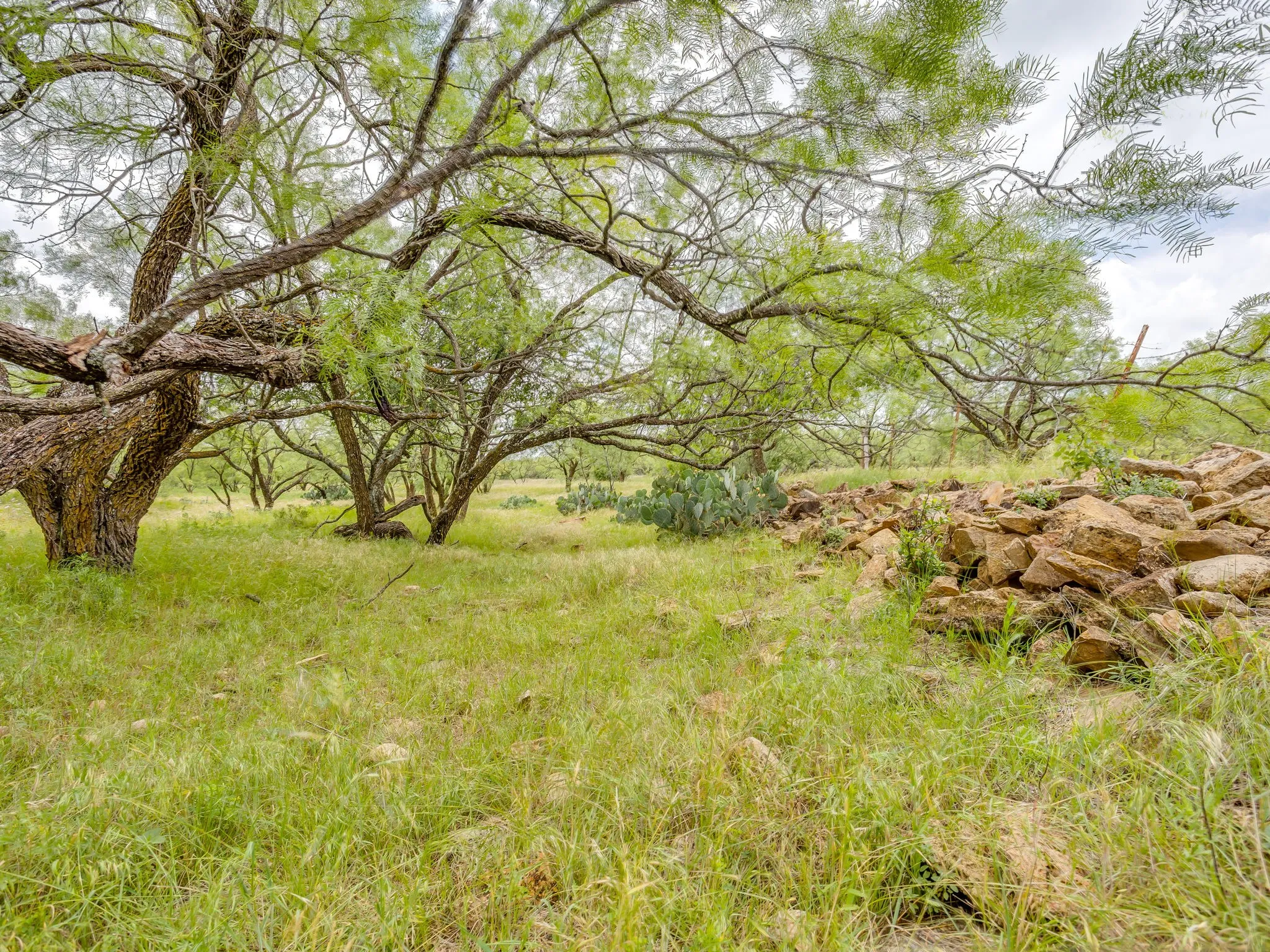 Farm For Sale in Coleman County , 1053 Fm 503, Coleman, Texas 76834, 2 Bedrooms, 2 Bathrooms, 2 Garage spaces, 2,278 Sqft, built in 2009, Price $1,998,000, mls#21290490, Real Estate Agent in Coleman, Homes For Sale in Coleman county, Homes For Sale in Coleman, Realtor in Coleman Texas, Real Estate Brokerage Independent Realty Texas, Luminita Cordes Realtor