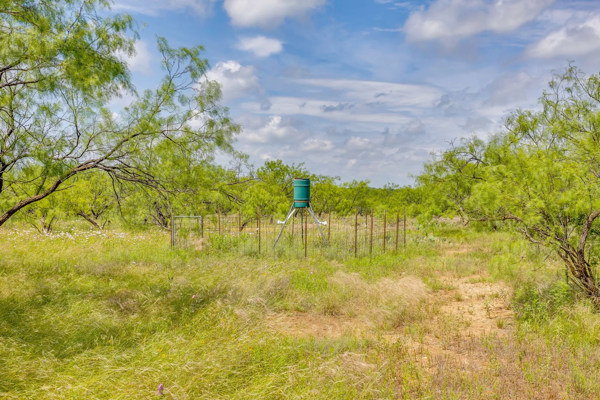 Farm For Sale in Coleman County , 1053 Fm 503, Coleman, Texas 76834, 2 Bedrooms, 2 Bathrooms, 2 Garage spaces, 2,278 Sqft, built in 2009, Price $1,998,000, mls#21290490, Real Estate Agent in Coleman, Homes For Sale in Coleman county, Homes For Sale in Coleman, Realtor in Coleman Texas, Real Estate Brokerage Independent Realty Texas, Luminita Cordes Realtor