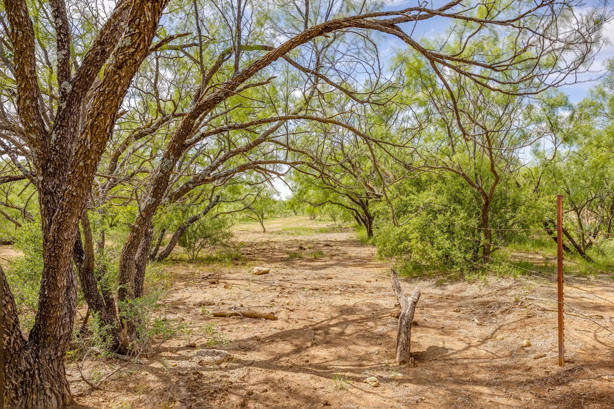 Farm For Sale in Coleman County , 1053 Fm 503, Coleman, Texas 76834, 2 Bedrooms, 2 Bathrooms, 2 Garage spaces, 2,278 Sqft, built in 2009, Price $1,998,000, mls#21290490, Real Estate Agent in Coleman, Homes For Sale in Coleman county, Homes For Sale in Coleman, Realtor in Coleman Texas, Real Estate Brokerage Independent Realty Texas, Luminita Cordes Realtor
