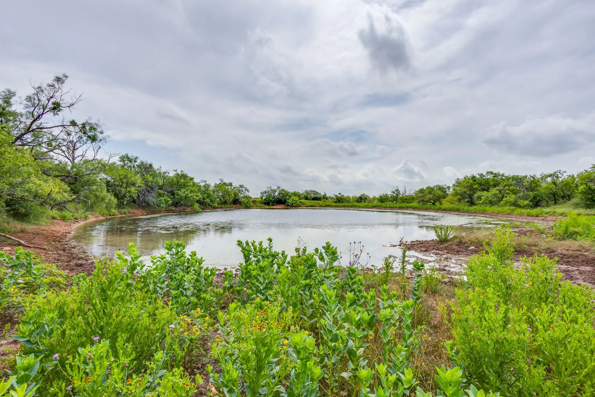 Farm For Sale in Coleman County , 1053 Fm 503, Coleman, Texas 76834, 2 Bedrooms, 2 Bathrooms, 2 Garage spaces, 2,278 Sqft, built in 2009, Price $1,998,000, mls#21290490, Real Estate Agent in Coleman, Homes For Sale in Coleman county, Homes For Sale in Coleman, Realtor in Coleman Texas, Real Estate Brokerage Independent Realty Texas, Luminita Cordes Realtor