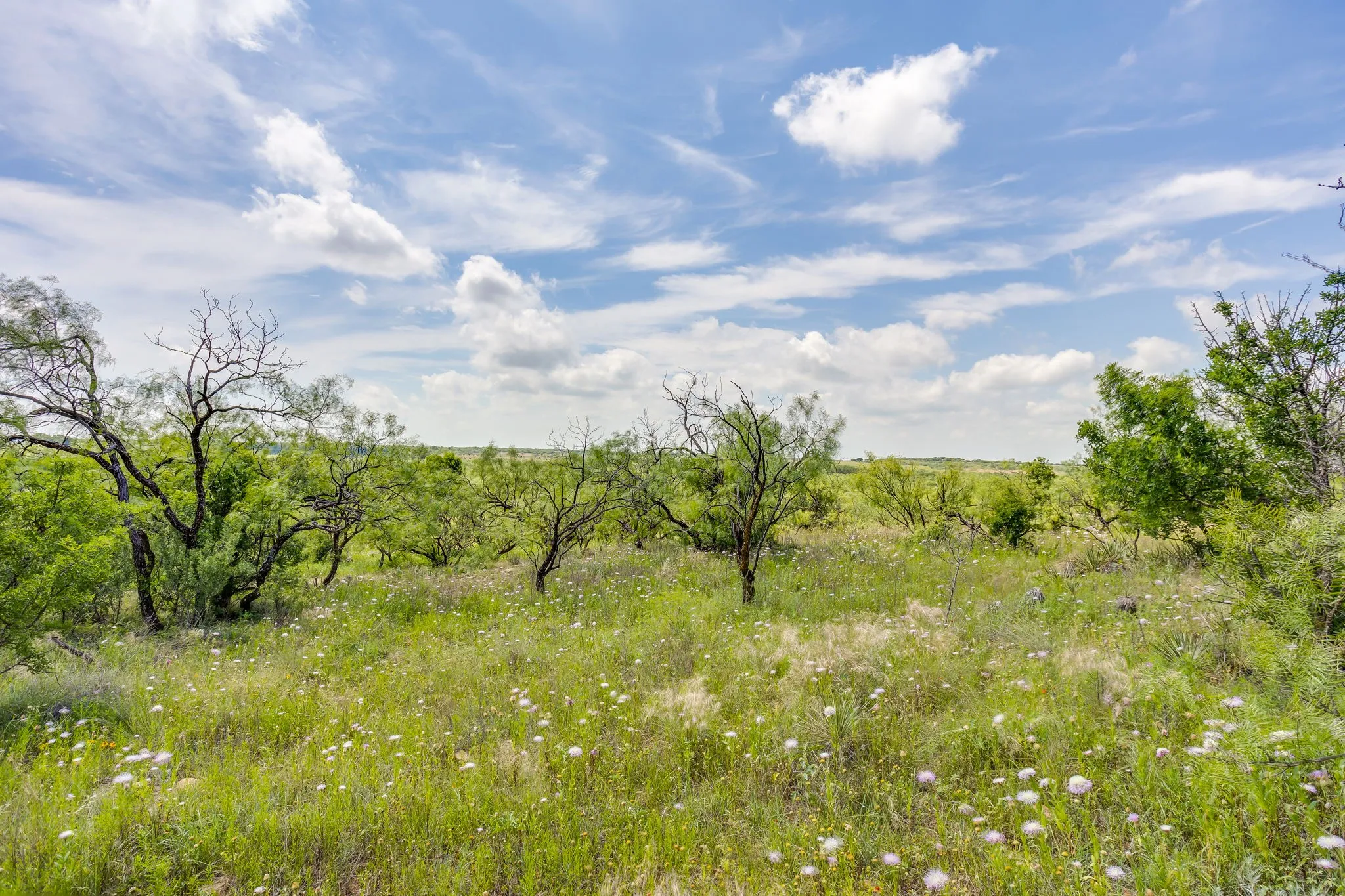 Farm For Sale in Coleman County , 1053 Fm 503, Coleman, Texas 76834, 2 Bedrooms, 2 Bathrooms, 2 Garage spaces, 2,278 Sqft, built in 2009, Price $1,998,000, mls#21290490, Real Estate Agent in Coleman, Homes For Sale in Coleman county, Homes For Sale in Coleman, Realtor in Coleman Texas, Real Estate Brokerage Independent Realty Texas, Luminita Cordes Realtor