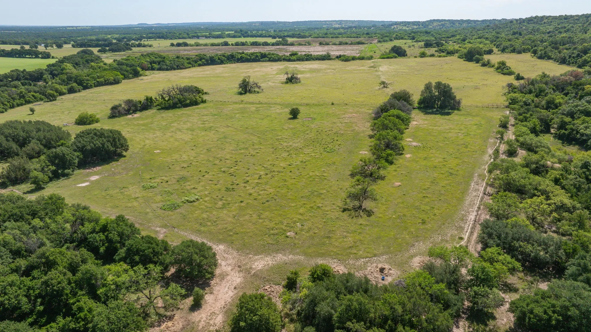 Expansive open pasture surrounded by mature trees, featuring scattered individual trees and natural foliage