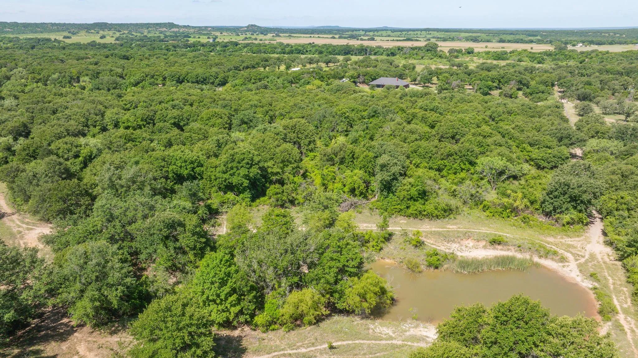 Expansive acreage featuring abundant mature trees, a natural pond, and a large residential structure with a dark roof