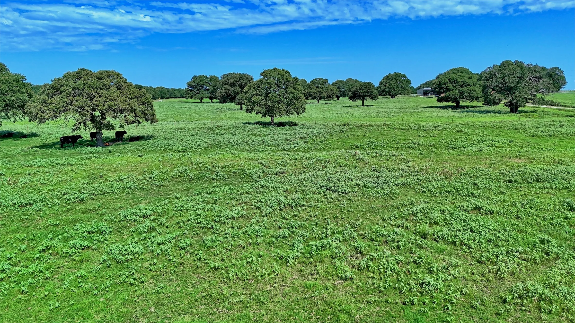 Farm For Sale in Montague County , 8752 Fm 1749, Sunset, Texas 76270, 3 Bedroom, 3 Bathroom, Garage spaces, 2,264 Sqft, built in 1973, mls#21291511, Real Estate Agent in Sunset, Homes For Sale in Montague county, Homes For Sale in Sunset, Realtor in Sunset Texas, Real Estate Brokerage Independent Realty Texas, Luminita Cordes Realtor