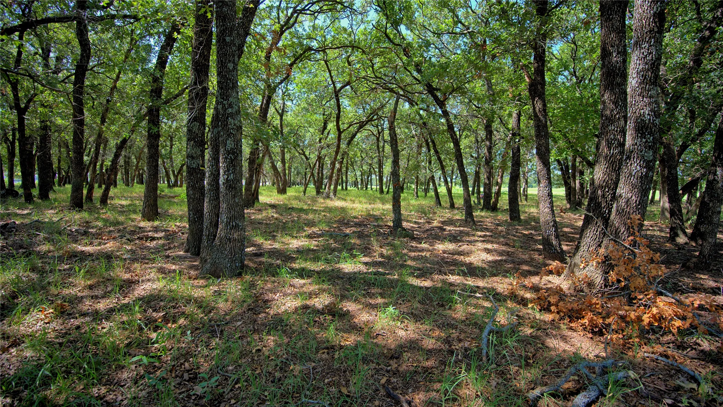 Farm For Sale in Montague County , 8752 Fm 1749, Sunset, Texas 76270, 3 Bedroom, 3 Bathroom, Garage spaces, 2,264 Sqft, built in 1973, mls#21291511, Real Estate Agent in Sunset, Homes For Sale in Montague county, Homes For Sale in Sunset, Realtor in Sunset Texas, Real Estate Brokerage Independent Realty Texas, Luminita Cordes Realtor