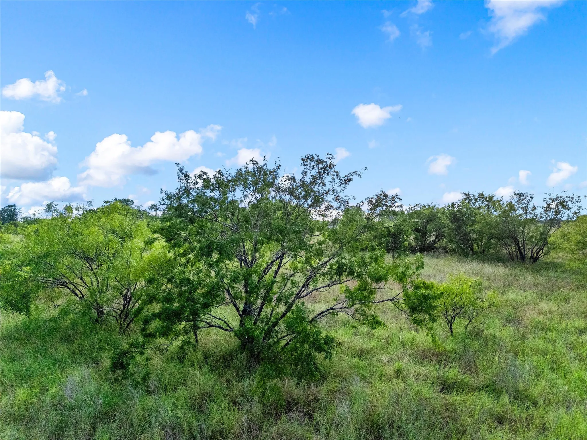 Single Family Residence For Sale in Mc Lennan County , 188 N Baese Road, West, Texas 76691, 3 Bedroom, 2 Bathroom, 2 Garage spaces, 1,832 Sqft, built in 1993, mls#21291517, Real Estate Agent in West, Homes For Sale in Mc Lennan county, Homes For Sale in West, Realtor in West Texas, Real Estate Brokerage Independent Realty Texas, Luminita Cordes Realtor