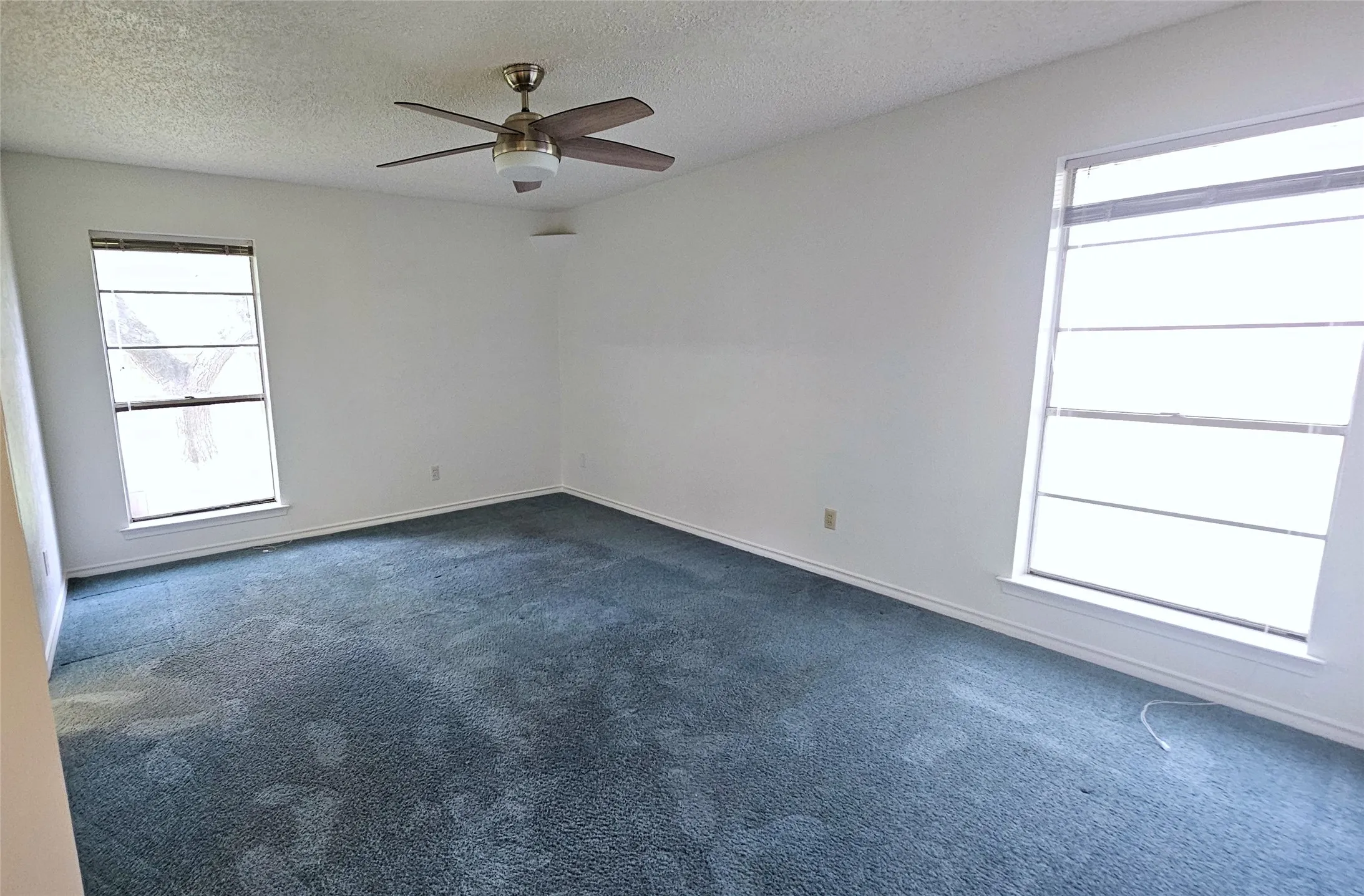 Primary bedroom with blue carpet, healthy amount of natural light form windows facing side and back yards, a textured ceiling, ceiling fan, and hidden accent corner lighting.