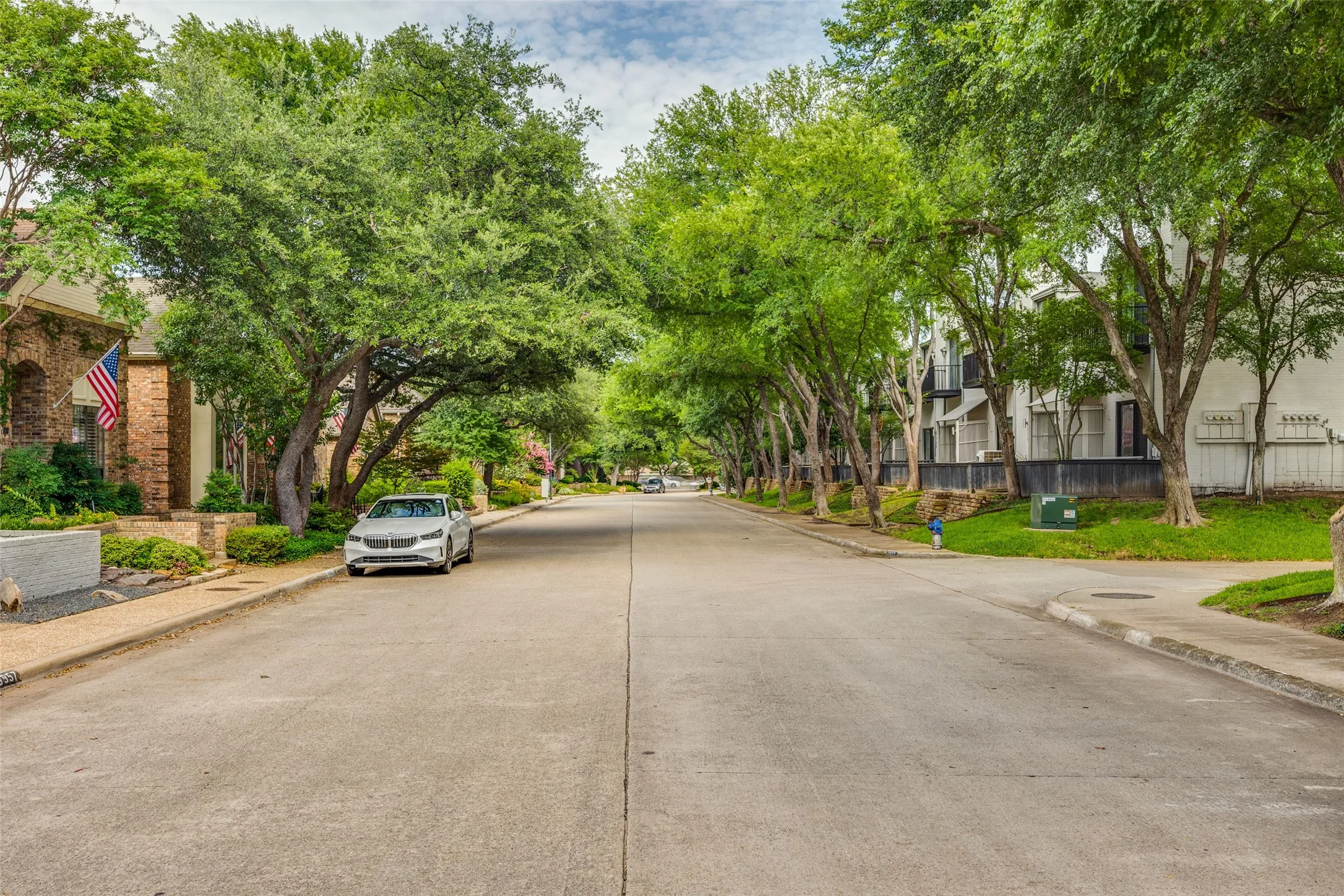 Beautiful tree lined street