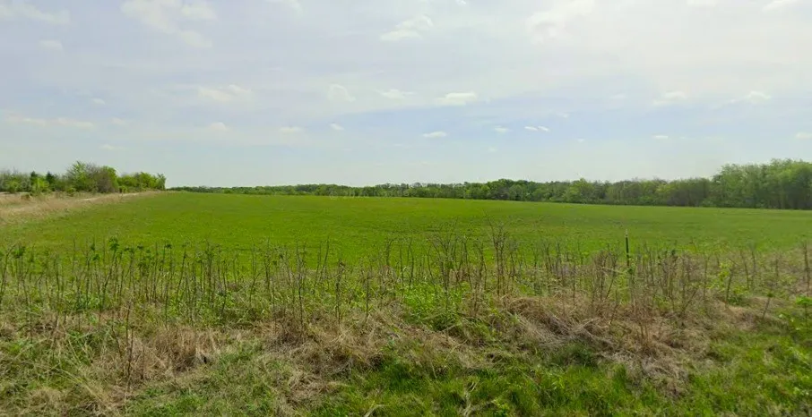 Ranch For Sale in Grayson County , TBD Taylor Road, Howe, Texas 75459, 0, 0, Garage spaces, 0 Sqft, built in 0, mls#21291548, Real Estate Agent in Howe, Homes For Sale in Grayson county, Homes For Sale in Howe, Realtor in Howe Texas, Real Estate Brokerage Independent Realty Texas, Luminita Cordes Realtor