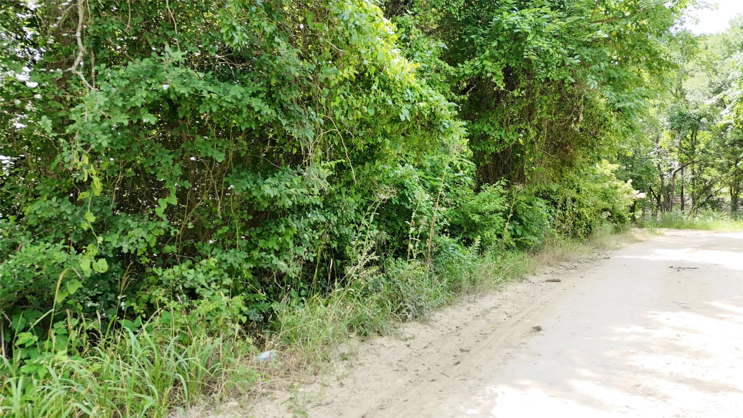 Unimproved Land For Sale in Hunt County , Lot 102-103 Private Road 2280, Quinlan, Texas 75474, 0, 0, Garage spaces, 0 Sqft, built in 0, Price $46,500, mls#21291582, Real Estate Agent in Quinlan, Homes For Sale in Hunt county, Homes For Sale in Quinlan, Realtor in Quinlan Texas, Real Estate Brokerage Independent Realty Texas, Luminita Cordes Realtor