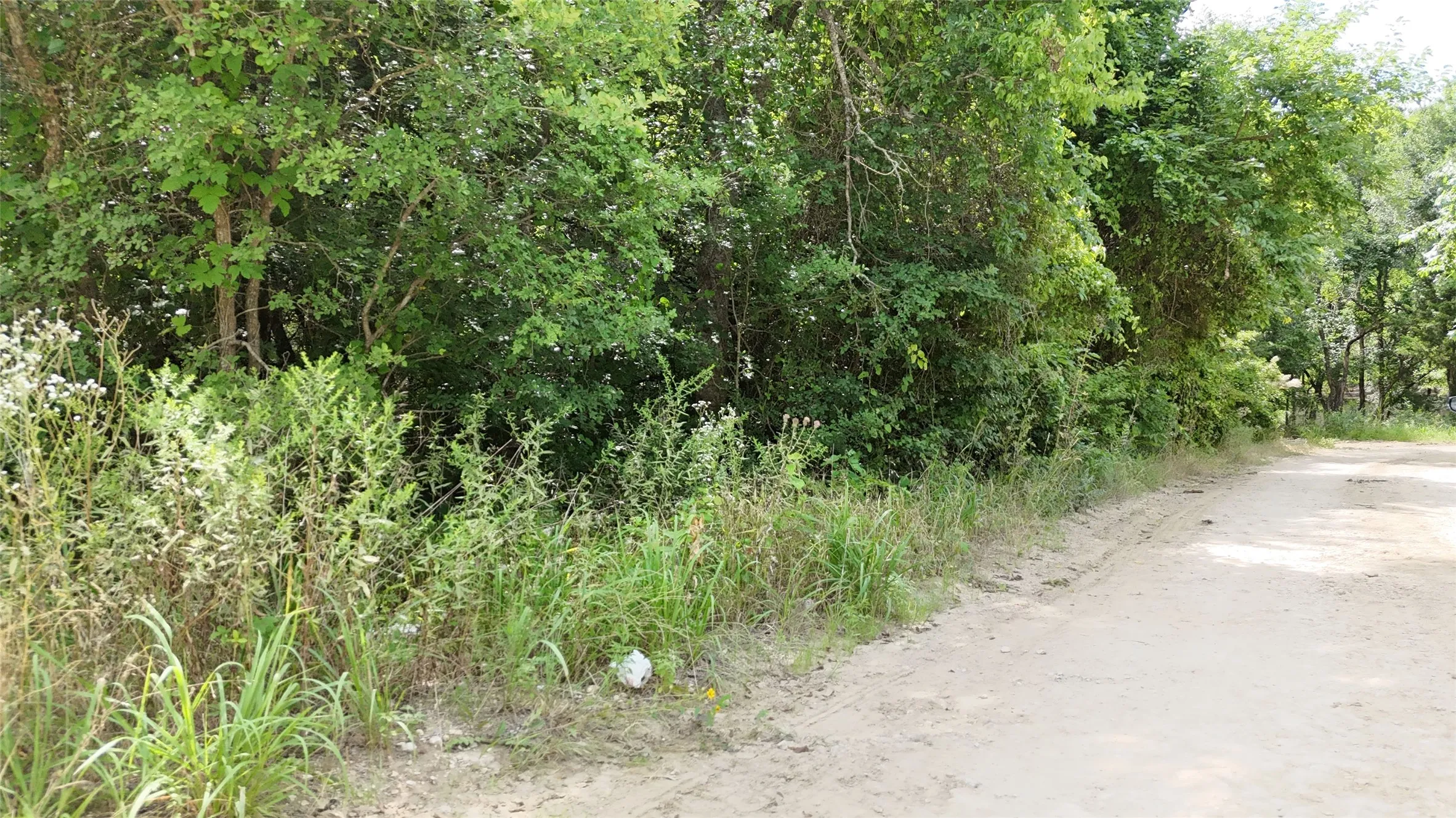 Unimproved Land For Sale in Hunt County , Lot 102-103 Private Road 2280, Quinlan, Texas 75474, 0, 0, Garage spaces, 0 Sqft, built in 0, Price $46,500, mls#21291582, Real Estate Agent in Quinlan, Homes For Sale in Hunt county, Homes For Sale in Quinlan, Realtor in Quinlan Texas, Real Estate Brokerage Independent Realty Texas, Luminita Cordes Realtor