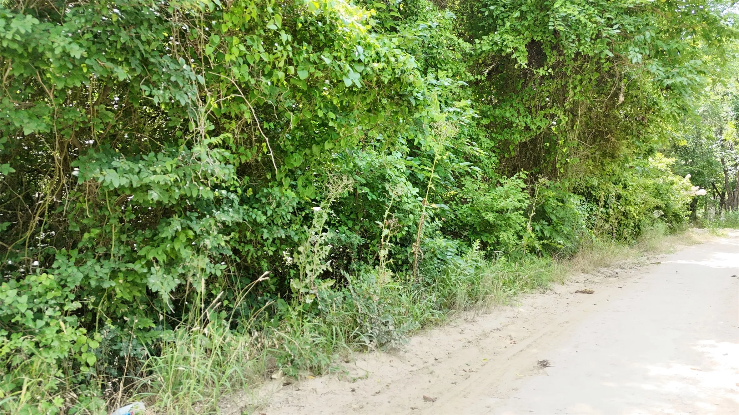 Unimproved Land For Sale in Hunt County , Lot 102-103 Private Road 2280, Quinlan, Texas 75474, 0, 0, Garage spaces, 0 Sqft, built in 0, Price $46,500, mls#21291582, Real Estate Agent in Quinlan, Homes For Sale in Hunt county, Homes For Sale in Quinlan, Realtor in Quinlan Texas, Real Estate Brokerage Independent Realty Texas, Luminita Cordes Realtor