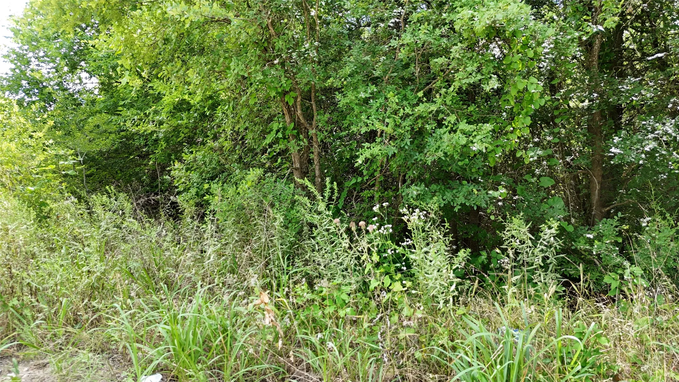 Unimproved Land For Sale in Hunt County , Lot 102-103 Private Road 2280, Quinlan, Texas 75474, 0, 0, Garage spaces, 0 Sqft, built in 0, Price $46,500, mls#21291582, Real Estate Agent in Quinlan, Homes For Sale in Hunt county, Homes For Sale in Quinlan, Realtor in Quinlan Texas, Real Estate Brokerage Independent Realty Texas, Luminita Cordes Realtor
