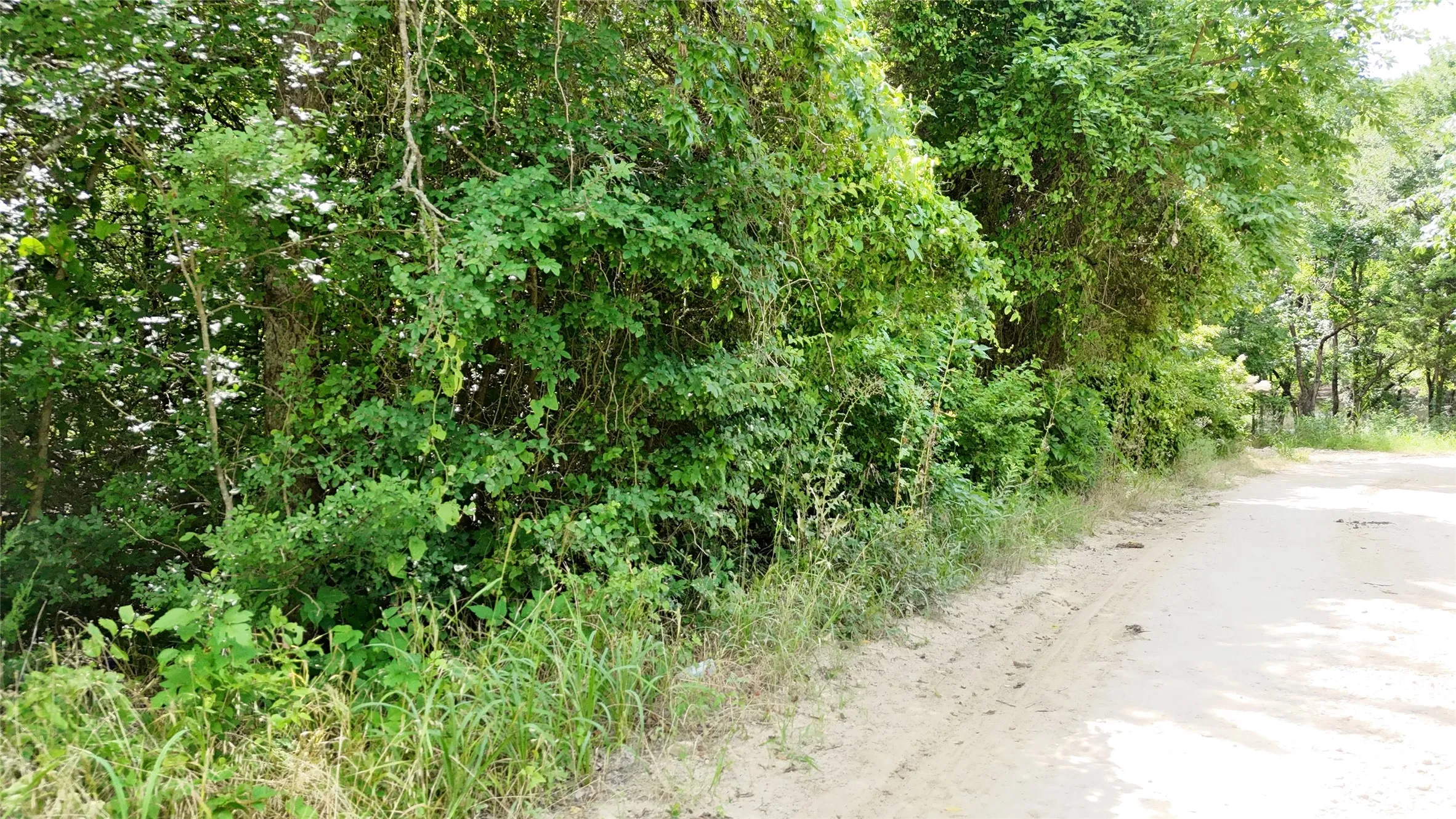 Unimproved Land For Sale in Hunt County , Lot 102-103 Private Road 2280, Quinlan, Texas 75474, 0, 0, Garage spaces, 0 Sqft, built in 0, Price $46,500, mls#21291582, Real Estate Agent in Quinlan, Homes For Sale in Hunt county, Homes For Sale in Quinlan, Realtor in Quinlan Texas, Real Estate Brokerage Independent Realty Texas, Luminita Cordes Realtor