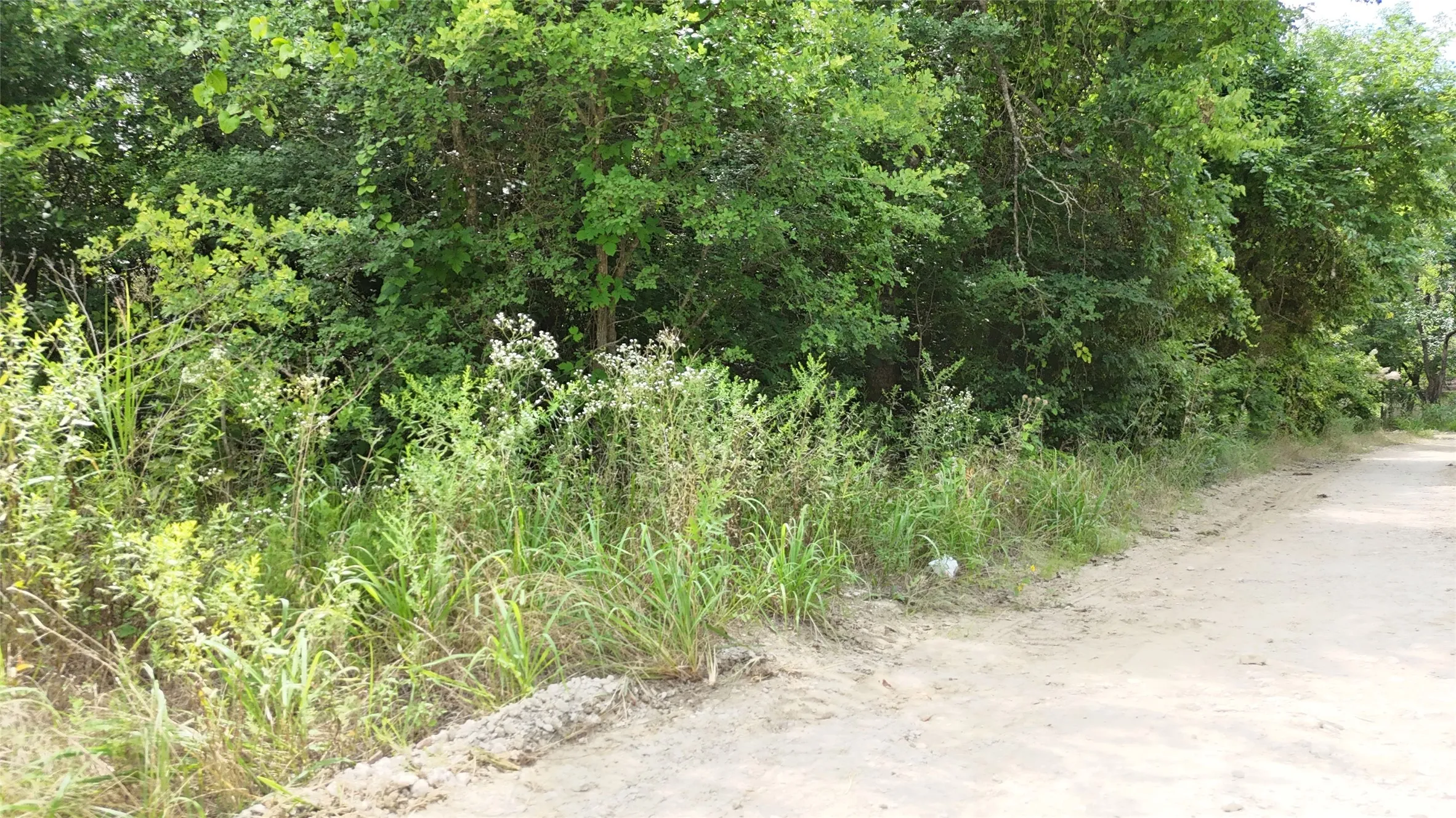 Unimproved Land For Sale in Hunt County , Lot 102-103 Private Road 2280, Quinlan, Texas 75474, 0, 0, Garage spaces, 0 Sqft, built in 0, Price $46,500, mls#21291582, Real Estate Agent in Quinlan, Homes For Sale in Hunt county, Homes For Sale in Quinlan, Realtor in Quinlan Texas, Real Estate Brokerage Independent Realty Texas, Luminita Cordes Realtor