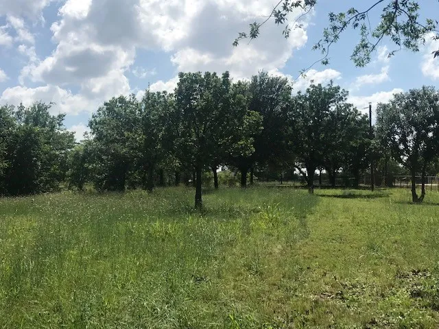 Unimproved Land For Sale in Collin County , 420 Kinney Drive, Murphy, Texas 75094, 0, 0, Garage spaces, 0 Sqft, built in 1972, mls#21291659, Real Estate Agent in Murphy, Homes For Sale in Collin county, Homes For Sale in Murphy, Realtor in Murphy Texas, Real Estate Brokerage Independent Realty Texas, Luminita Cordes Realtor