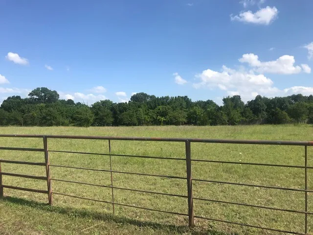 Unimproved Land For Sale in Collin County , 420 Kinney Drive, Murphy, Texas 75094, 0, 0, Garage spaces, 0 Sqft, built in 1972, mls#21291659, Real Estate Agent in Murphy, Homes For Sale in Collin county, Homes For Sale in Murphy, Realtor in Murphy Texas, Real Estate Brokerage Independent Realty Texas, Luminita Cordes Realtor