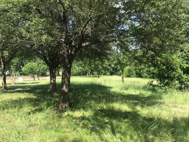 Unimproved Land For Sale in Collin County , 420 Kinney Drive, Murphy, Texas 75094, 0, 0, Garage spaces, 0 Sqft, built in 1972, mls#21291659, Real Estate Agent in Murphy, Homes For Sale in Collin county, Homes For Sale in Murphy, Realtor in Murphy Texas, Real Estate Brokerage Independent Realty Texas, Luminita Cordes Realtor