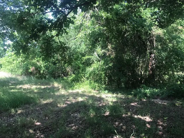 Unimproved Land For Sale in Collin County , 420 Kinney Drive, Murphy, Texas 75094, 0, 0, Garage spaces, 0 Sqft, built in 1972, mls#21291659, Real Estate Agent in Murphy, Homes For Sale in Collin county, Homes For Sale in Murphy, Realtor in Murphy Texas, Real Estate Brokerage Independent Realty Texas, Luminita Cordes Realtor