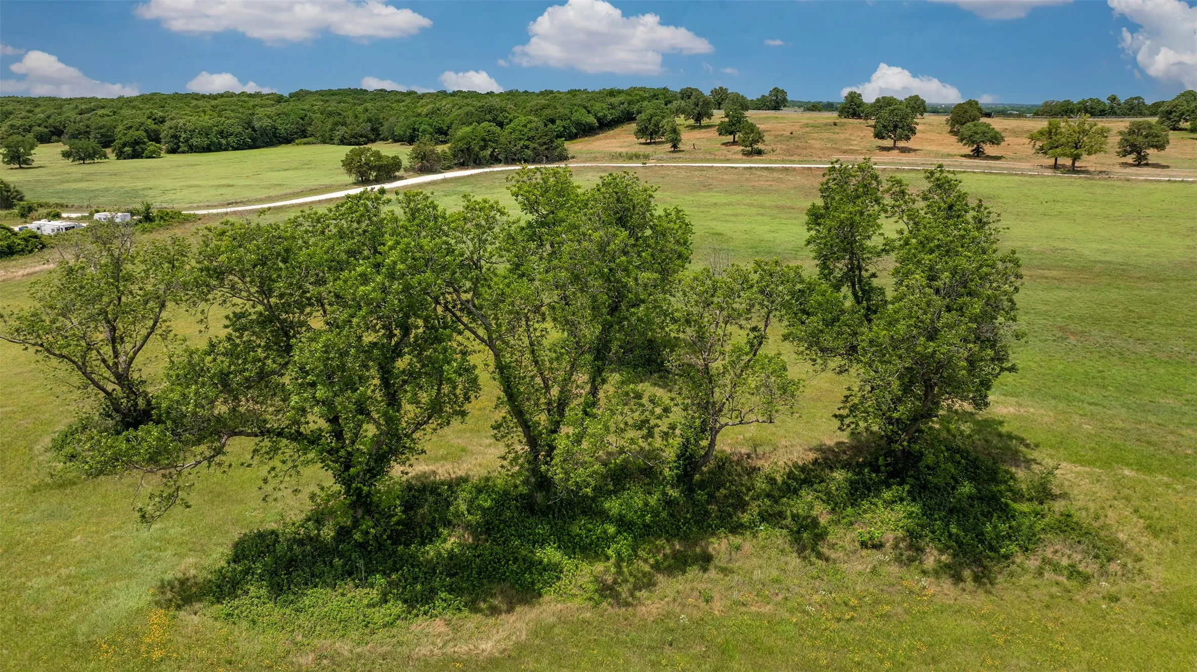 Unimproved Land For Sale in Cooke County , 7803 E US Hwy 82, Gainesville, Texas 76240, 0, 0, Garage spaces, 0 Sqft, built in 2004, Price $3,099,000, mls#21291714, Real Estate Agent in Gainesville, Homes For Sale in Cooke county, Homes For Sale in Gainesville, Realtor in Gainesville Texas, Real Estate Brokerage Independent Realty Texas, Luminita Cordes Realtor