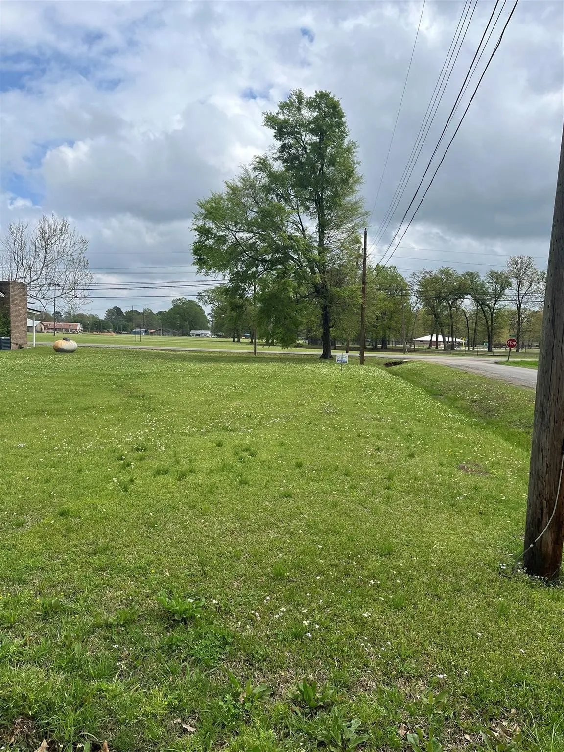 Unimproved Land For Sale in Bowie County , TBD South Merrill Street Avenue, New Boston, Texas 75570, 0, 0, Garage spaces, 0 Sqft, built in 0, mls#21291752, Real Estate Agent in New Boston, Homes For Sale in Bowie county, Homes For Sale in New Boston, Realtor in New Boston Texas, Real Estate Brokerage Independent Realty Texas, Luminita Cordes Realtor