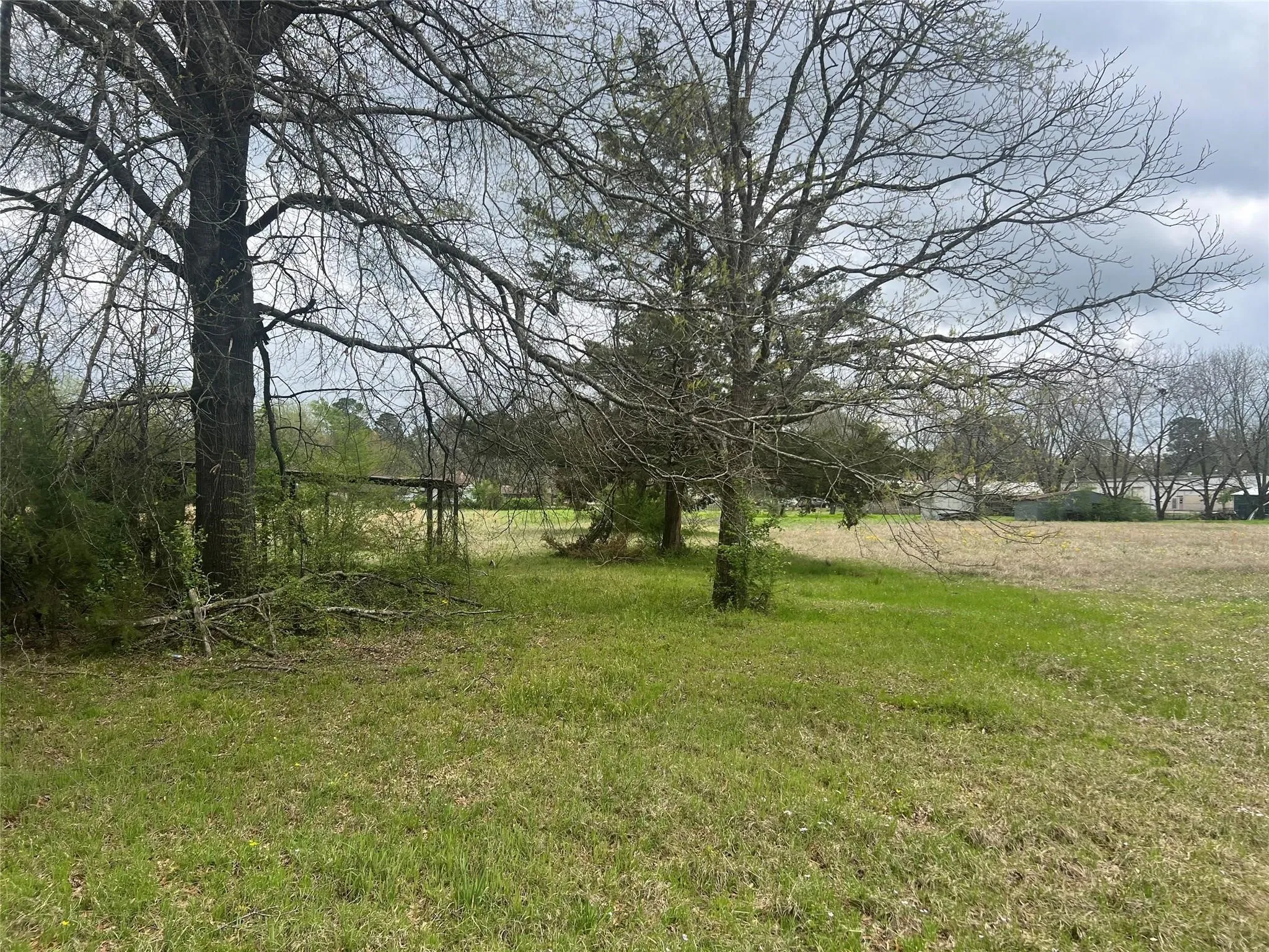 Unimproved Land For Sale in Bowie County , TBD Merrill Street, New Boston, Texas 75570, 0, 0, Garage spaces, 0 Sqft, built in 0, Price $160,000, mls#21291761, Real Estate Agent in New Boston, Homes For Sale in Bowie county, Homes For Sale in New Boston, Realtor in New Boston Texas, Real Estate Brokerage Independent Realty Texas, Luminita Cordes Realtor