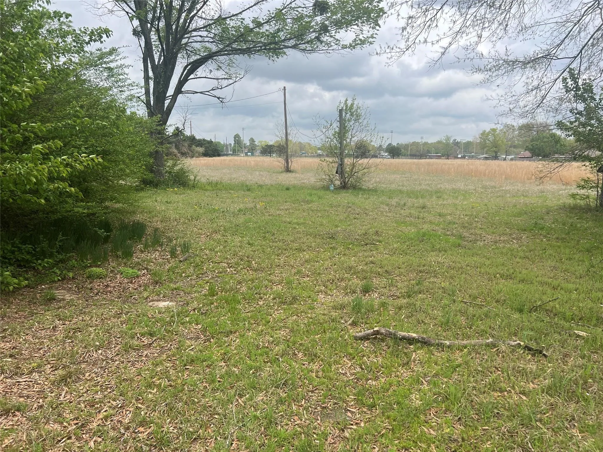 Unimproved Land For Sale in Bowie County , TBD Merrill Street, New Boston, Texas 75570, 0, 0, Garage spaces, 0 Sqft, built in 0, Price $160,000, mls#21291761, Real Estate Agent in New Boston, Homes For Sale in Bowie county, Homes For Sale in New Boston, Realtor in New Boston Texas, Real Estate Brokerage Independent Realty Texas, Luminita Cordes Realtor
