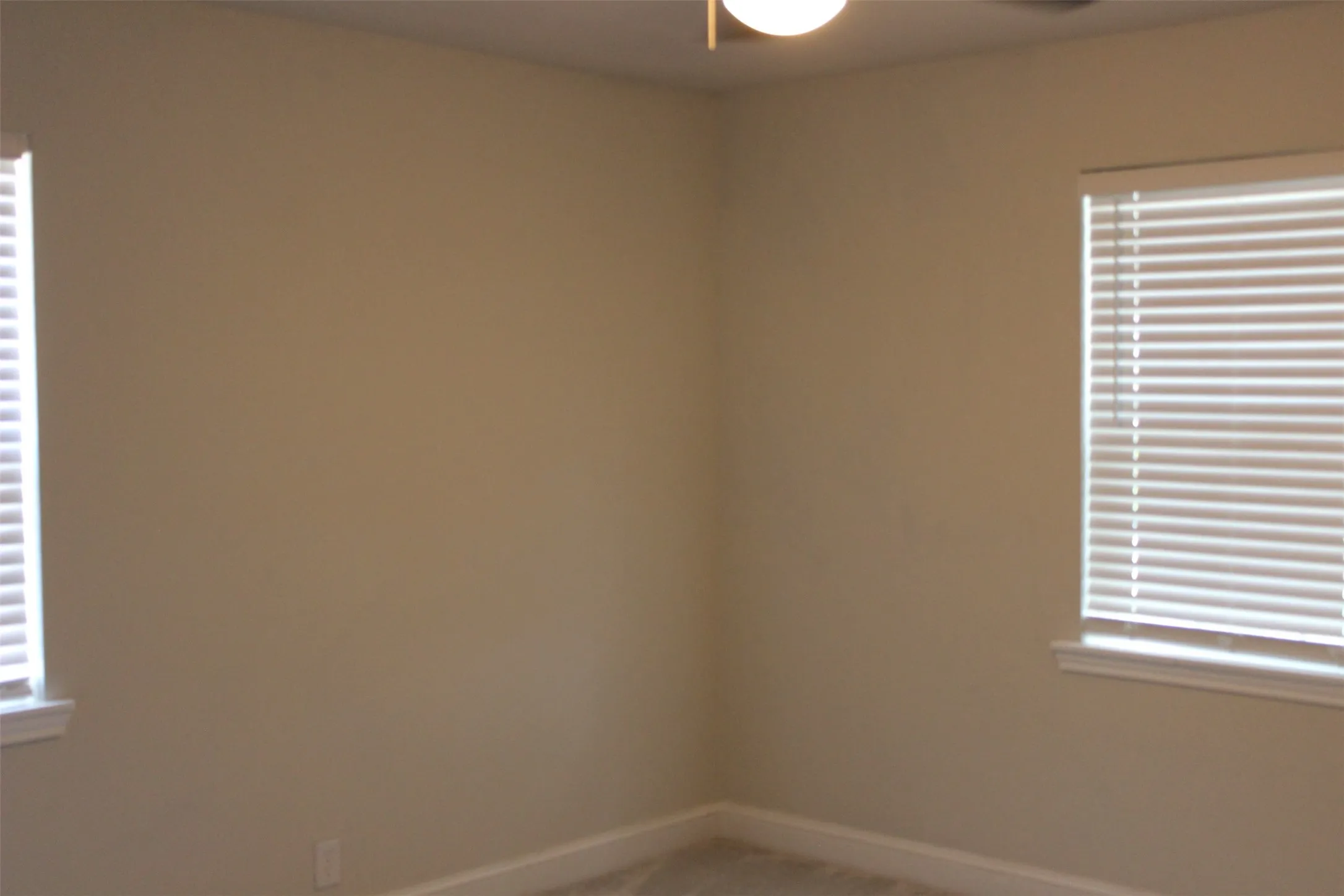 Room featuring neutral wall tones, two windows with white blinds, and white trim