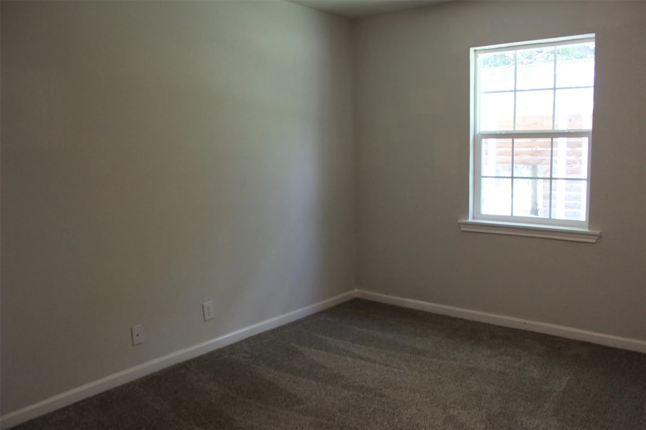 Room with neutral wall paint and plush carpeting