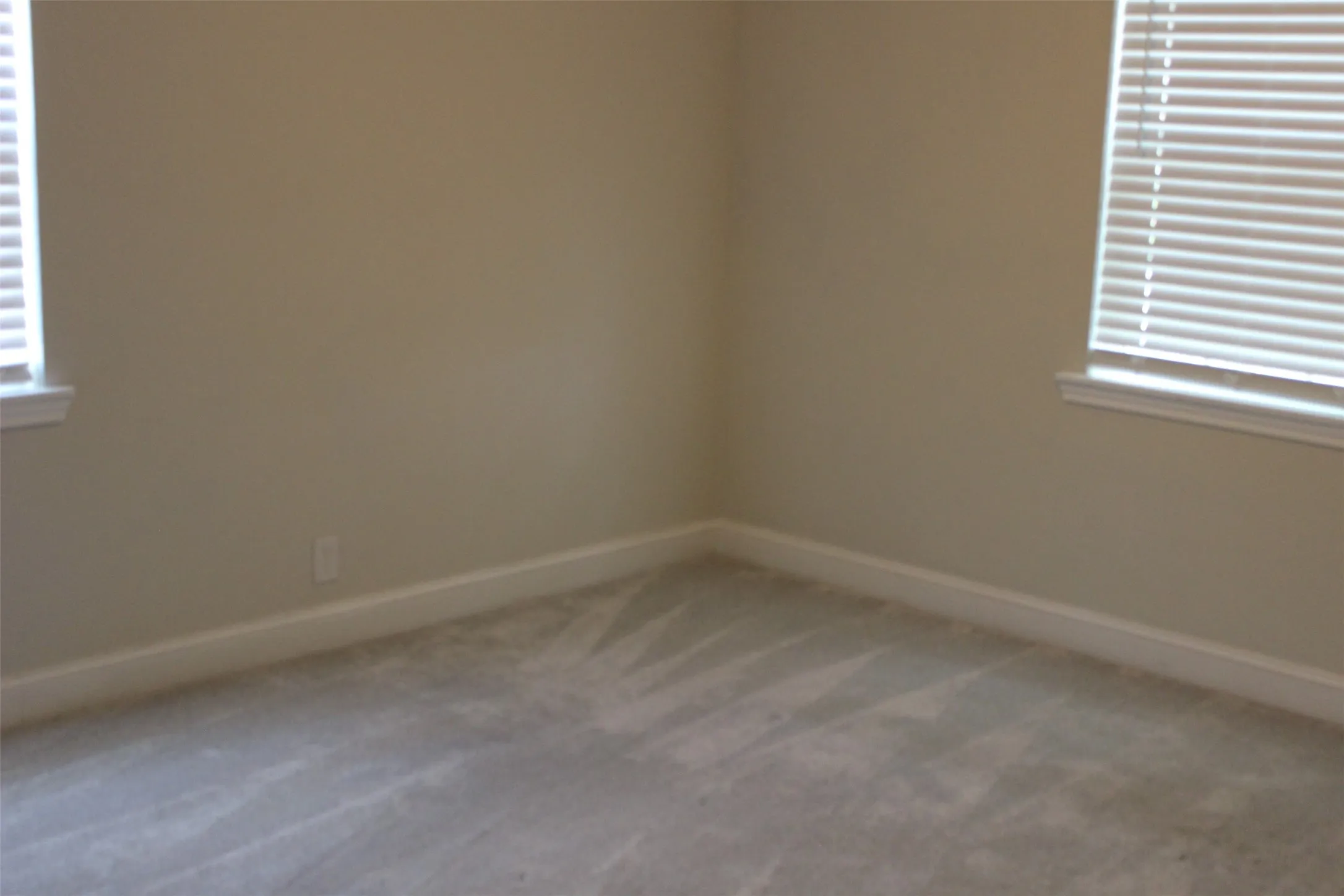 A spacious primary bedroom with neutral-toned walls complement the light gray carpeting