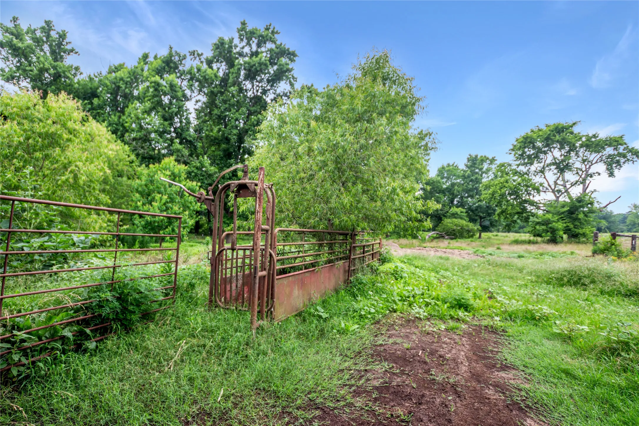 Single Family Residence For Sale in Henderson County , 781 S FM 315, Chandler, Texas 75758, 3 Bedroom, 2 Bathroom, 2 Garage spaces, 3,700 Sqft, built in 2009, mls#21291415, Real Estate Agent in Chandler, Homes For Sale in Henderson county, Homes For Sale in Chandler, Realtor in Chandler Texas, Real Estate Brokerage Independent Realty Texas, Luminita Cordes Realtor