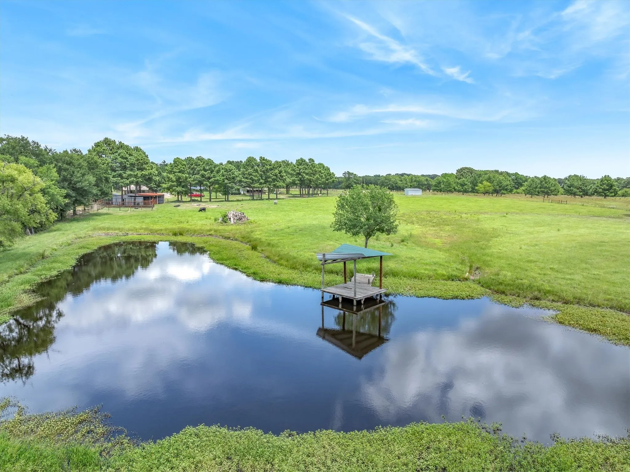 Spring fed pond ready to fish!