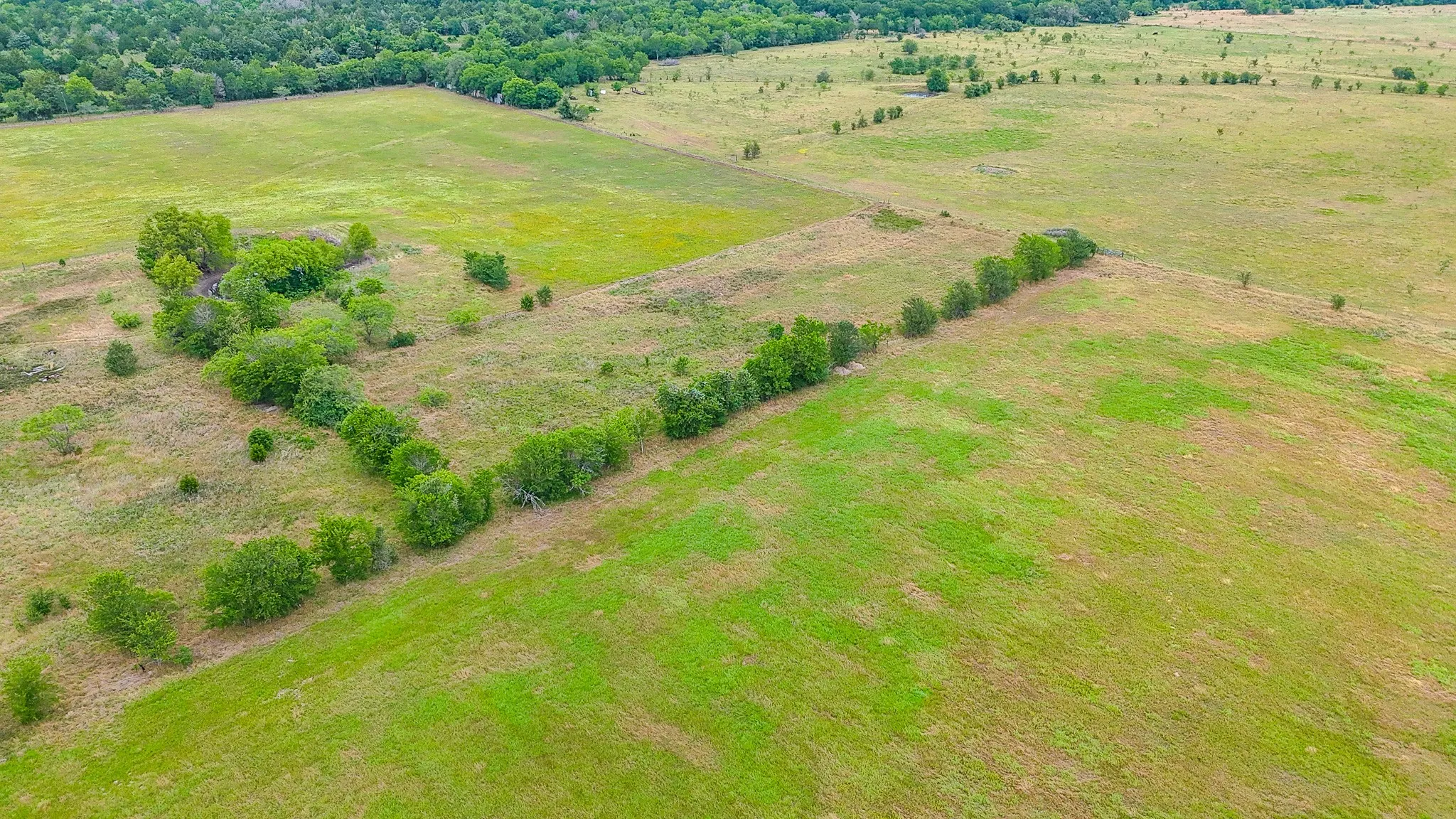 Unimproved Land For Sale in Navarro County , 8365 Fm 642, Purdon, Texas 76679, 0, 0, Garage spaces, 0 Sqft, built in 0, mls#21291896, Real Estate Agent in Purdon, Homes For Sale in Navarro county, Homes For Sale in Purdon, Realtor in Purdon Texas, Real Estate Brokerage Independent Realty Texas, Luminita Cordes Realtor