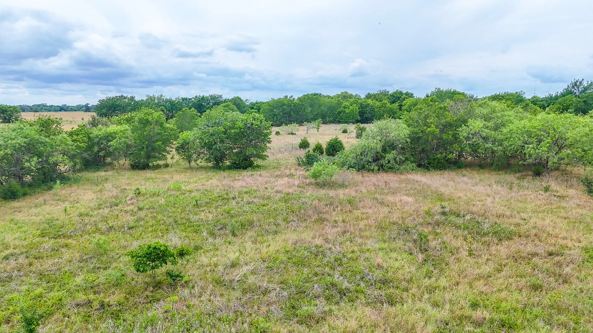 Unimproved Land For Sale in Navarro County , 8365 Fm 642, Purdon, Texas 76679, 0, 0, Garage spaces, 0 Sqft, built in 0, mls#21291896, Real Estate Agent in Purdon, Homes For Sale in Navarro county, Homes For Sale in Purdon, Realtor in Purdon Texas, Real Estate Brokerage Independent Realty Texas, Luminita Cordes Realtor