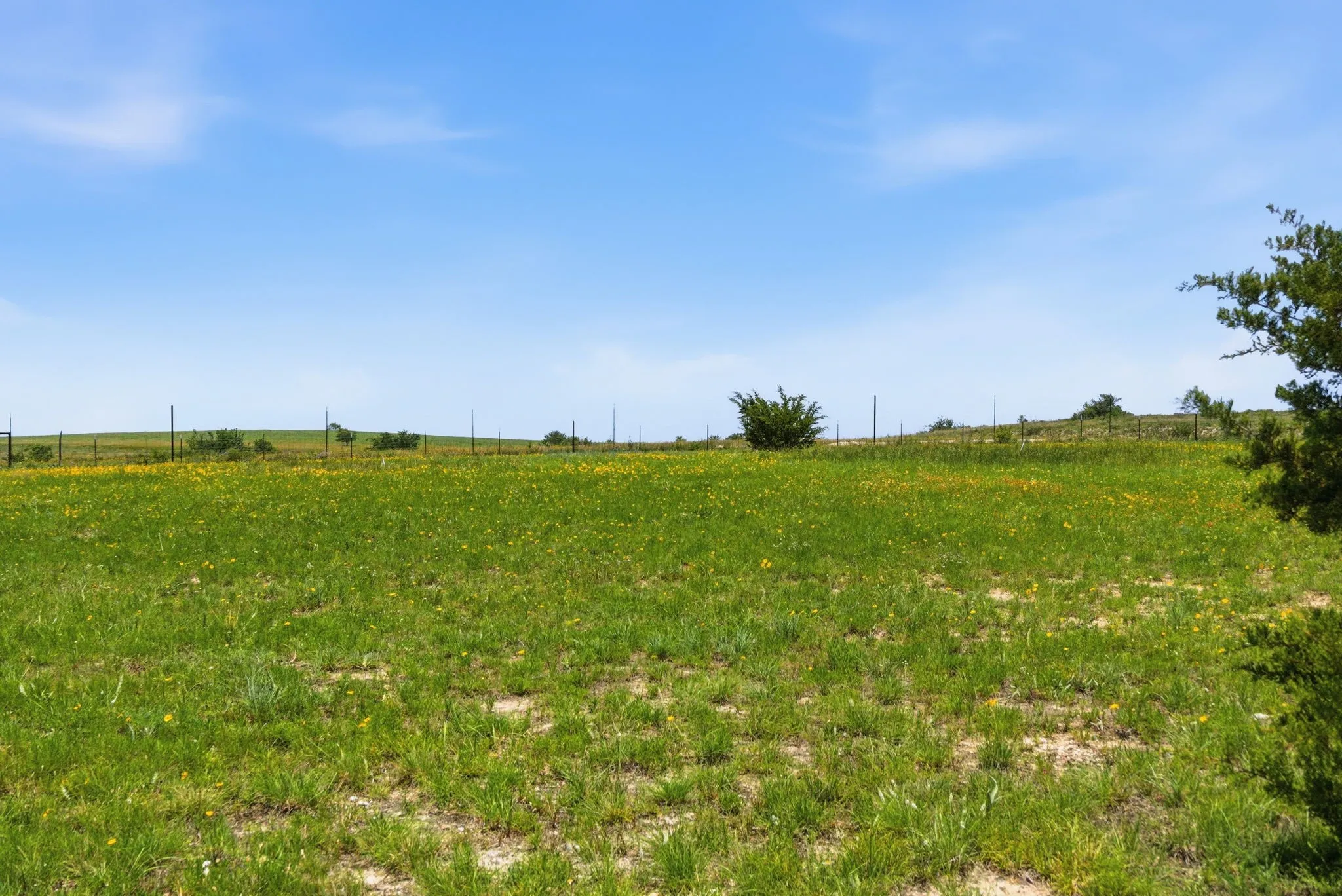 Single Family Residence For Sale in Parker County , 3020 Jolene Court, Springtown, Texas 76082, 4 Bedroom, 3 Bathroom, 2 Garage spaces, 2,777 Sqft, built in 2021, mls#21291417, Real Estate Agent in Springtown, Homes For Sale in Parker county, Homes For Sale in Springtown, Realtor in Springtown Texas, Real Estate Brokerage Independent Realty Texas, Luminita Cordes Realtor