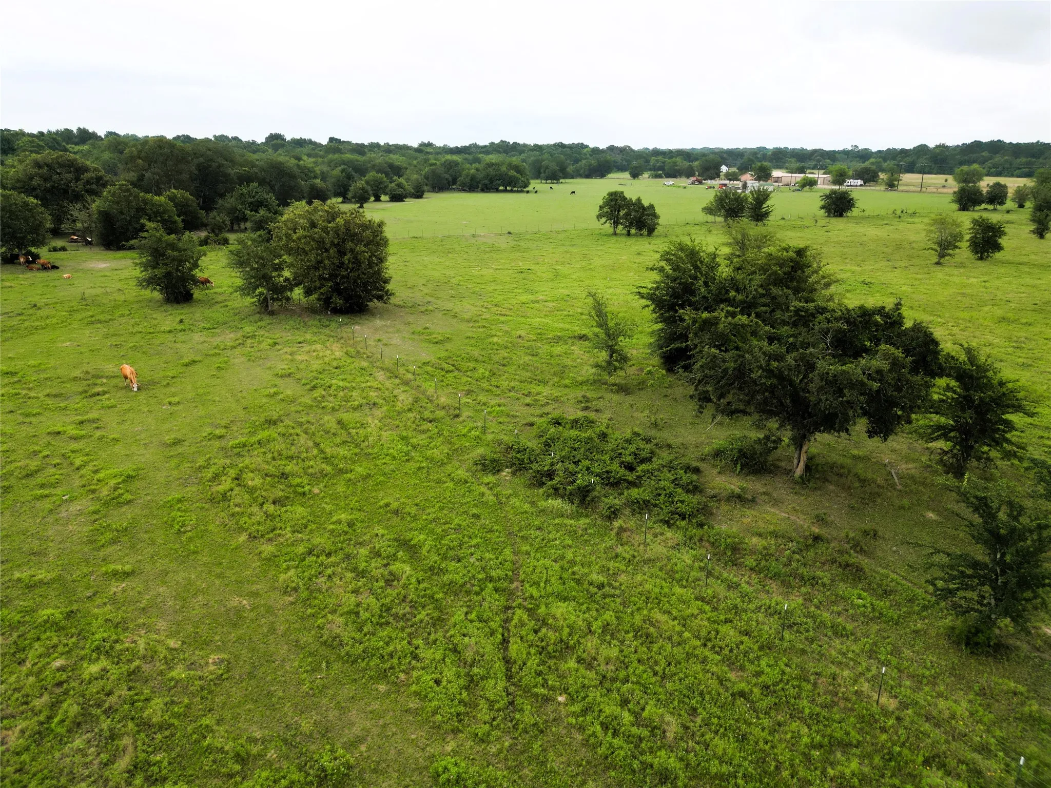 Ranch For Sale in Hopkins County , 30.213Ac County Road 4766, Sulphur Springs, Texas 75482, 0, 0, Garage spaces, 0 Sqft, built in 0, mls#21291380, Real Estate Agent in Sulphur Springs, Homes For Sale in Hopkins county, Homes For Sale in Sulphur Springs, Realtor in Sulphur Springs Texas, Real Estate Brokerage Independent Realty Texas, Luminita Cordes Realtor