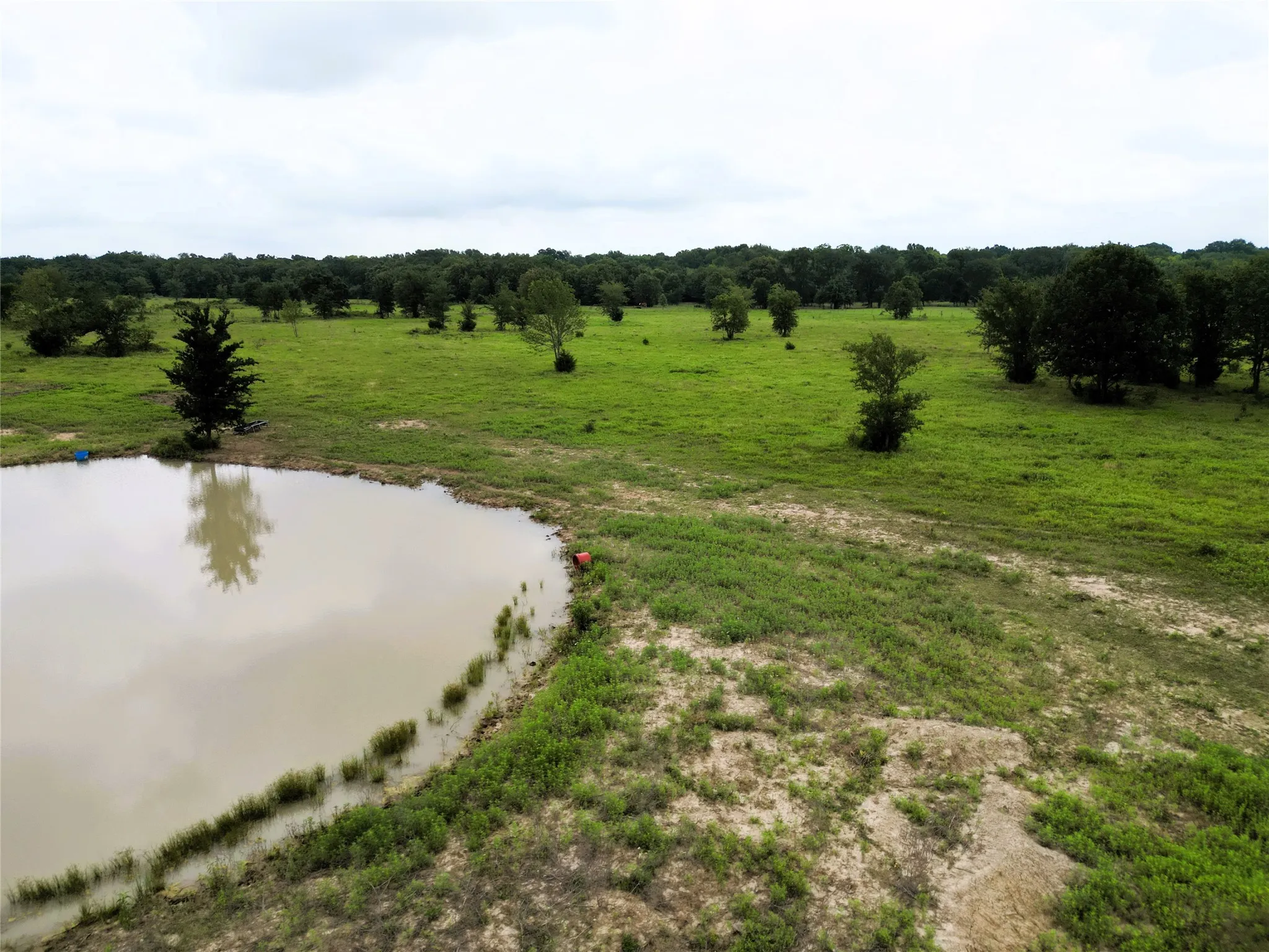 Ranch For Sale in Hopkins County , 30.213Ac County Road 4766, Sulphur Springs, Texas 75482, 0, 0, Garage spaces, 0 Sqft, built in 0, mls#21291380, Real Estate Agent in Sulphur Springs, Homes For Sale in Hopkins county, Homes For Sale in Sulphur Springs, Realtor in Sulphur Springs Texas, Real Estate Brokerage Independent Realty Texas, Luminita Cordes Realtor