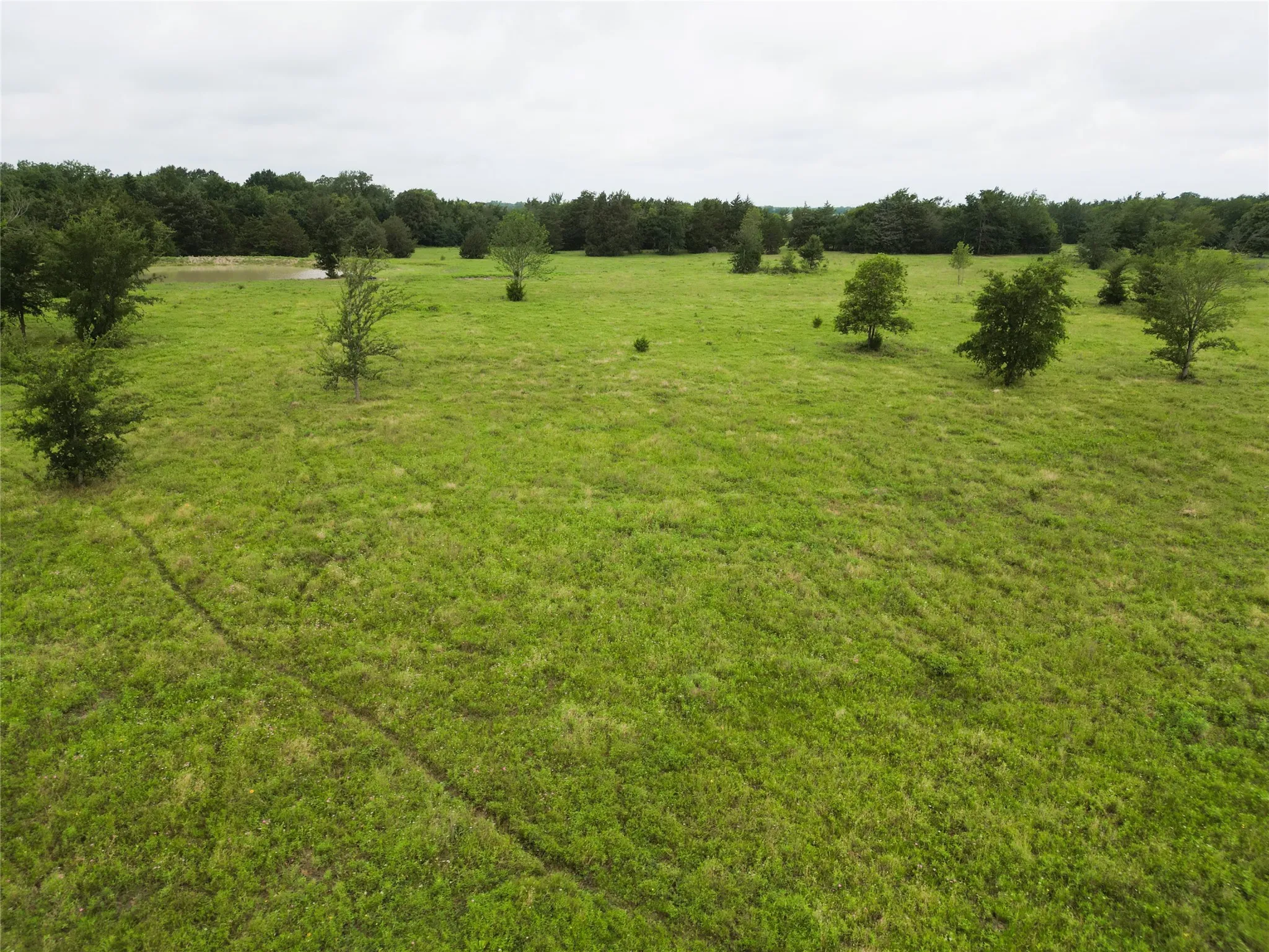 Ranch For Sale in Hopkins County , 30.213Ac County Road 4766, Sulphur Springs, Texas 75482, 0, 0, Garage spaces, 0 Sqft, built in 0, mls#21291380, Real Estate Agent in Sulphur Springs, Homes For Sale in Hopkins county, Homes For Sale in Sulphur Springs, Realtor in Sulphur Springs Texas, Real Estate Brokerage Independent Realty Texas, Luminita Cordes Realtor