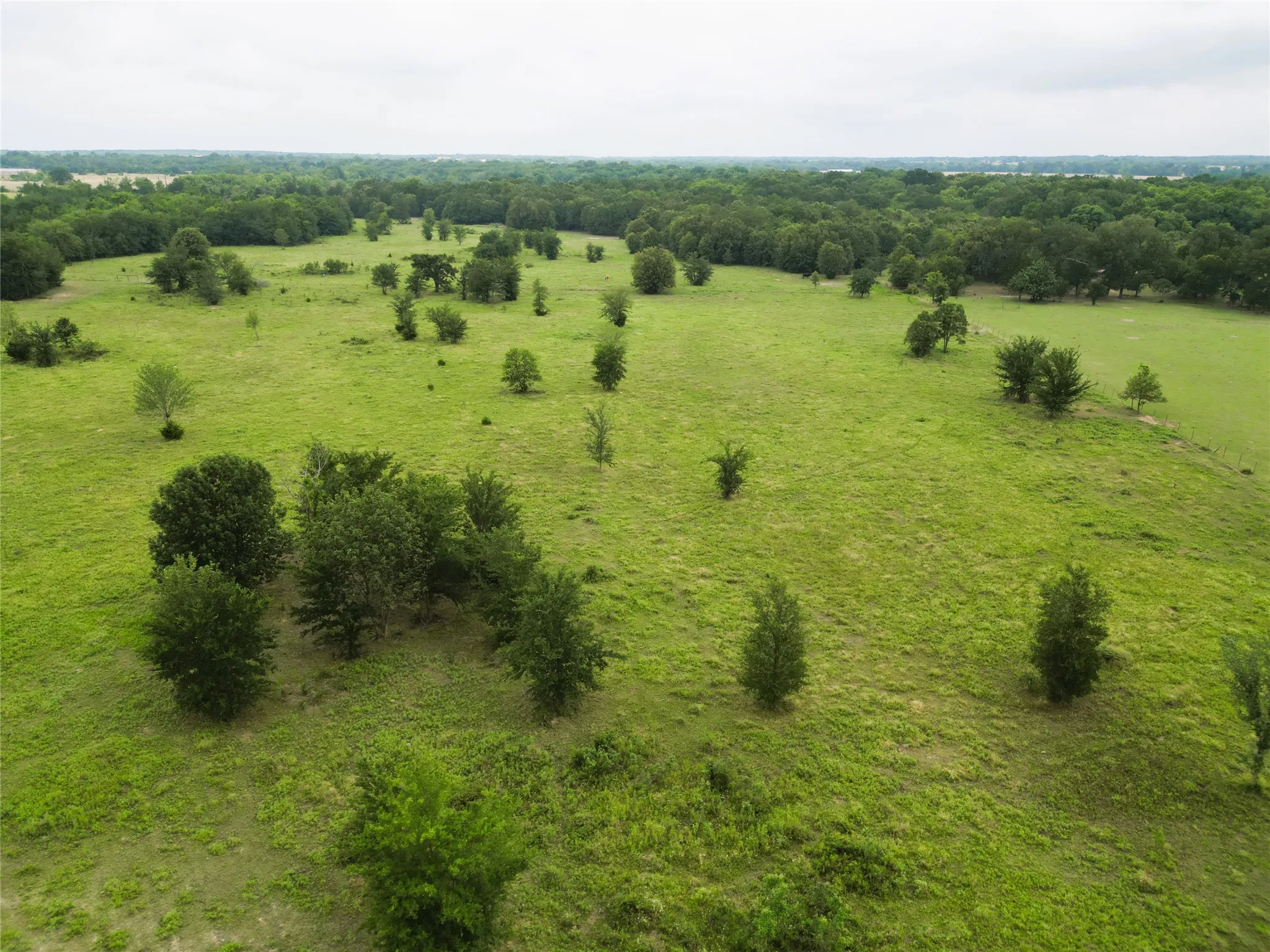Ranch For Sale in Hopkins County , 30.213Ac County Road 4766, Sulphur Springs, Texas 75482, 0, 0, Garage spaces, 0 Sqft, built in 0, mls#21291380, Real Estate Agent in Sulphur Springs, Homes For Sale in Hopkins county, Homes For Sale in Sulphur Springs, Realtor in Sulphur Springs Texas, Real Estate Brokerage Independent Realty Texas, Luminita Cordes Realtor