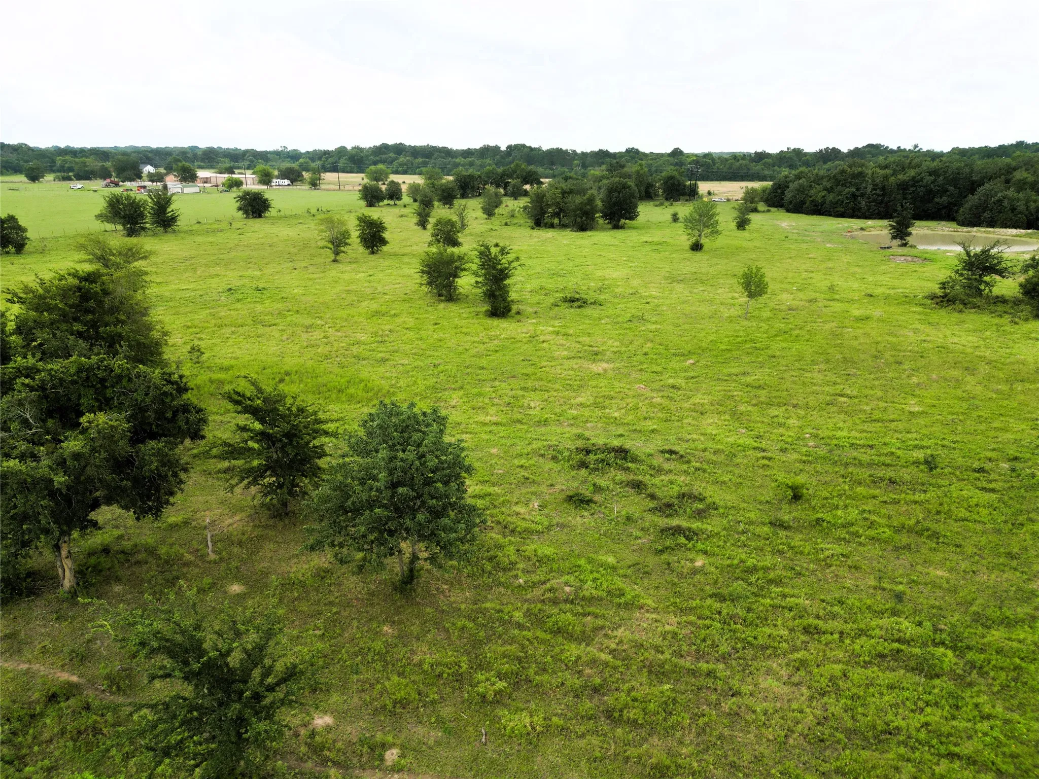 Ranch For Sale in Hopkins County , 30.213Ac County Road 4766, Sulphur Springs, Texas 75482, 0, 0, Garage spaces, 0 Sqft, built in 0, mls#21291380, Real Estate Agent in Sulphur Springs, Homes For Sale in Hopkins county, Homes For Sale in Sulphur Springs, Realtor in Sulphur Springs Texas, Real Estate Brokerage Independent Realty Texas, Luminita Cordes Realtor
