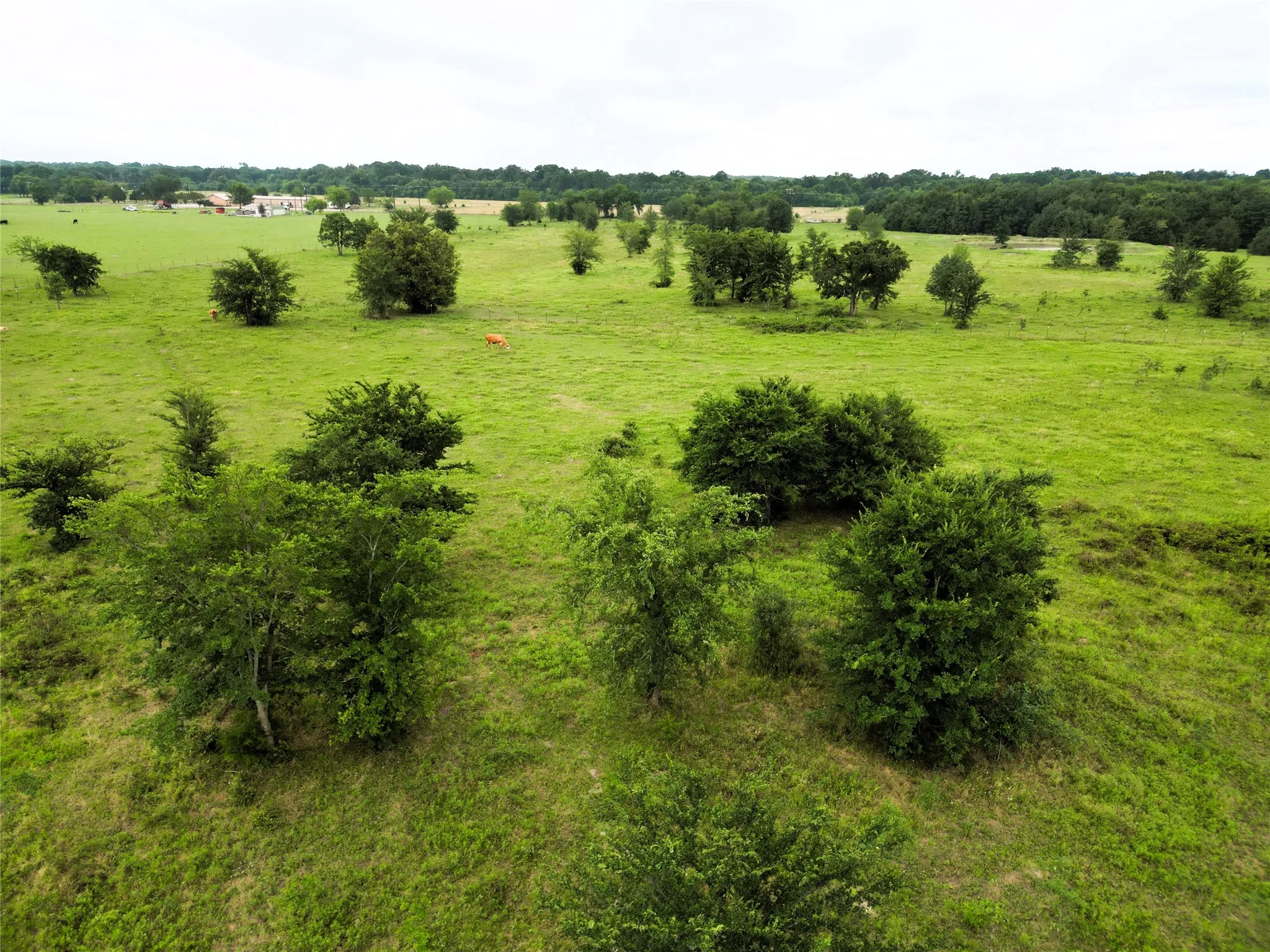 Ranch For Sale in Hopkins County , 30.213Ac County Road 4766, Sulphur Springs, Texas 75482, 0, 0, Garage spaces, 0 Sqft, built in 0, mls#21291380, Real Estate Agent in Sulphur Springs, Homes For Sale in Hopkins county, Homes For Sale in Sulphur Springs, Realtor in Sulphur Springs Texas, Real Estate Brokerage Independent Realty Texas, Luminita Cordes Realtor
