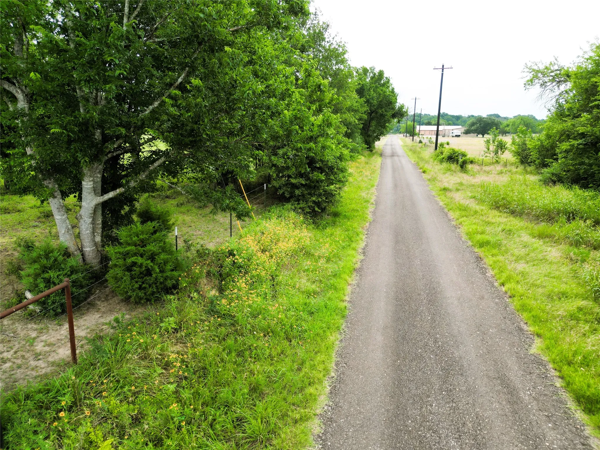 Ranch For Sale in Hopkins County , 30.213Ac County Road 4766, Sulphur Springs, Texas 75482, 0, 0, Garage spaces, 0 Sqft, built in 0, mls#21291380, Real Estate Agent in Sulphur Springs, Homes For Sale in Hopkins county, Homes For Sale in Sulphur Springs, Realtor in Sulphur Springs Texas, Real Estate Brokerage Independent Realty Texas, Luminita Cordes Realtor