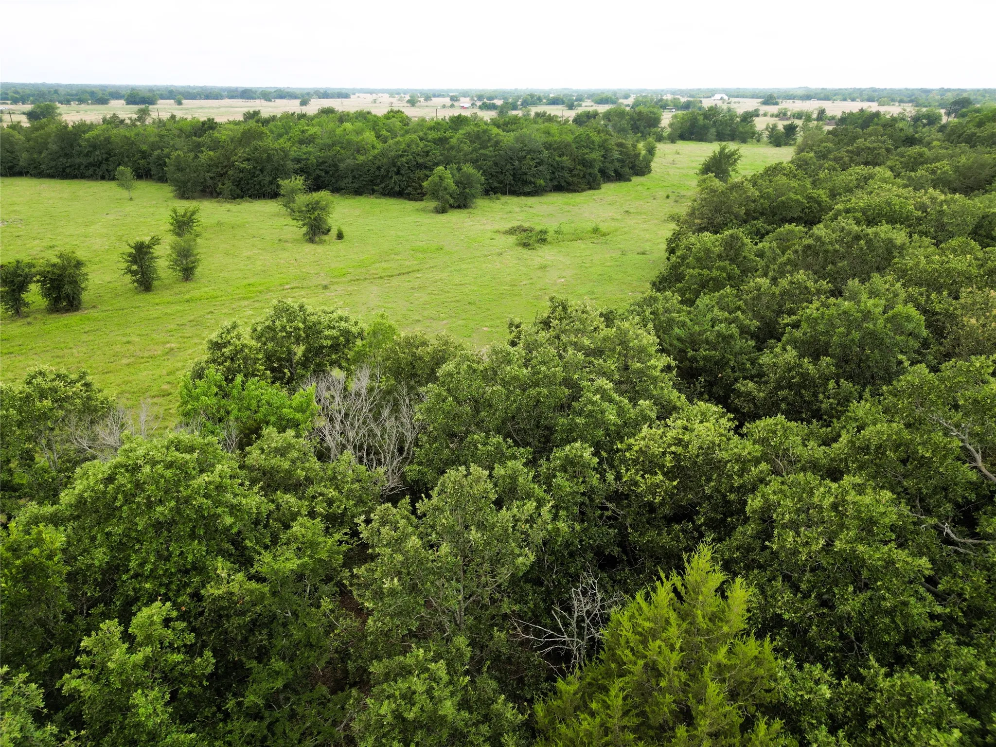 Ranch For Sale in Hopkins County , 30.213Ac County Road 4766, Sulphur Springs, Texas 75482, 0, 0, Garage spaces, 0 Sqft, built in 0, mls#21291380, Real Estate Agent in Sulphur Springs, Homes For Sale in Hopkins county, Homes For Sale in Sulphur Springs, Realtor in Sulphur Springs Texas, Real Estate Brokerage Independent Realty Texas, Luminita Cordes Realtor