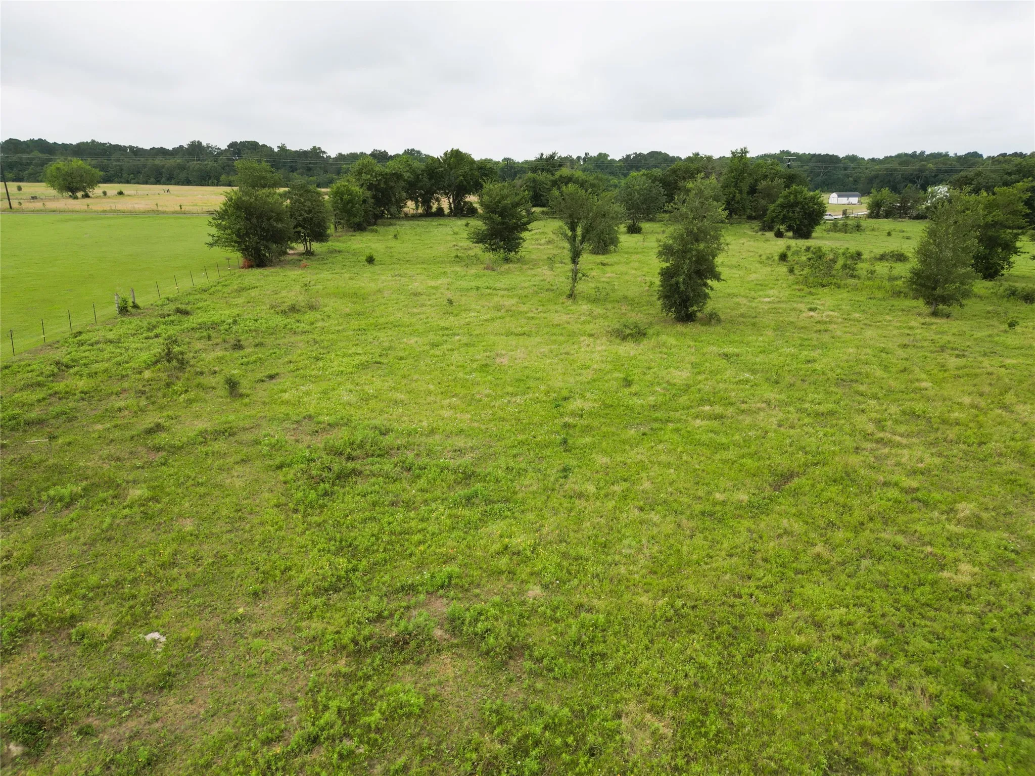Ranch For Sale in Hopkins County , 30.213Ac County Road 4766, Sulphur Springs, Texas 75482, 0, 0, Garage spaces, 0 Sqft, built in 0, mls#21291380, Real Estate Agent in Sulphur Springs, Homes For Sale in Hopkins county, Homes For Sale in Sulphur Springs, Realtor in Sulphur Springs Texas, Real Estate Brokerage Independent Realty Texas, Luminita Cordes Realtor