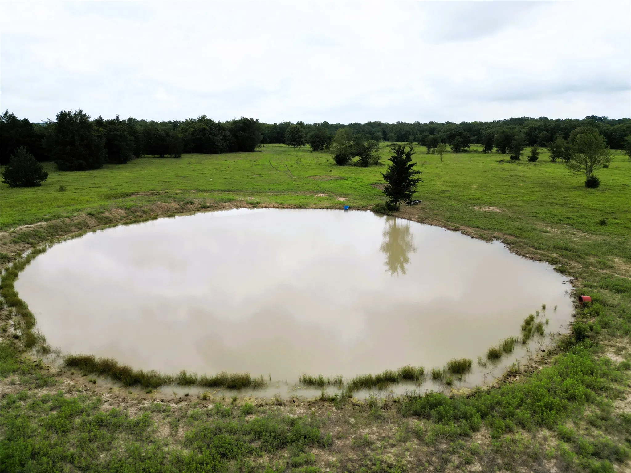 Ranch For Sale in Hopkins County , 30.213Ac County Road 4766, Sulphur Springs, Texas 75482, 0, 0, Garage spaces, 0 Sqft, built in 0, mls#21291380, Real Estate Agent in Sulphur Springs, Homes For Sale in Hopkins county, Homes For Sale in Sulphur Springs, Realtor in Sulphur Springs Texas, Real Estate Brokerage Independent Realty Texas, Luminita Cordes Realtor