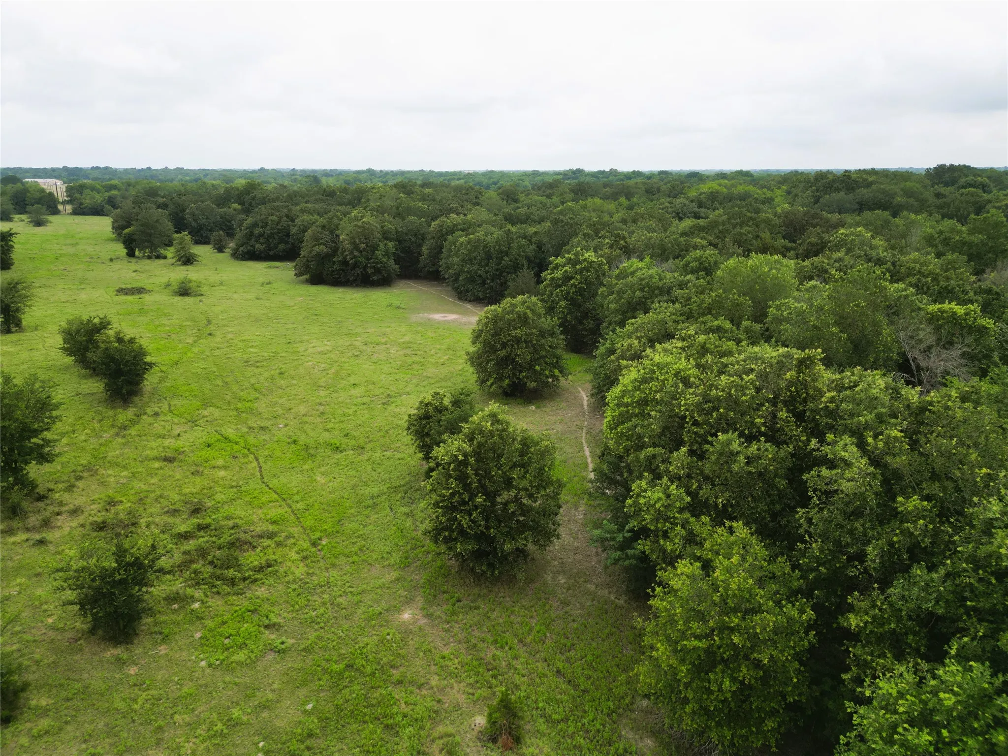 Ranch For Sale in Hopkins County , 30.213Ac County Road 4766, Sulphur Springs, Texas 75482, 0, 0, Garage spaces, 0 Sqft, built in 0, mls#21291380, Real Estate Agent in Sulphur Springs, Homes For Sale in Hopkins county, Homes For Sale in Sulphur Springs, Realtor in Sulphur Springs Texas, Real Estate Brokerage Independent Realty Texas, Luminita Cordes Realtor