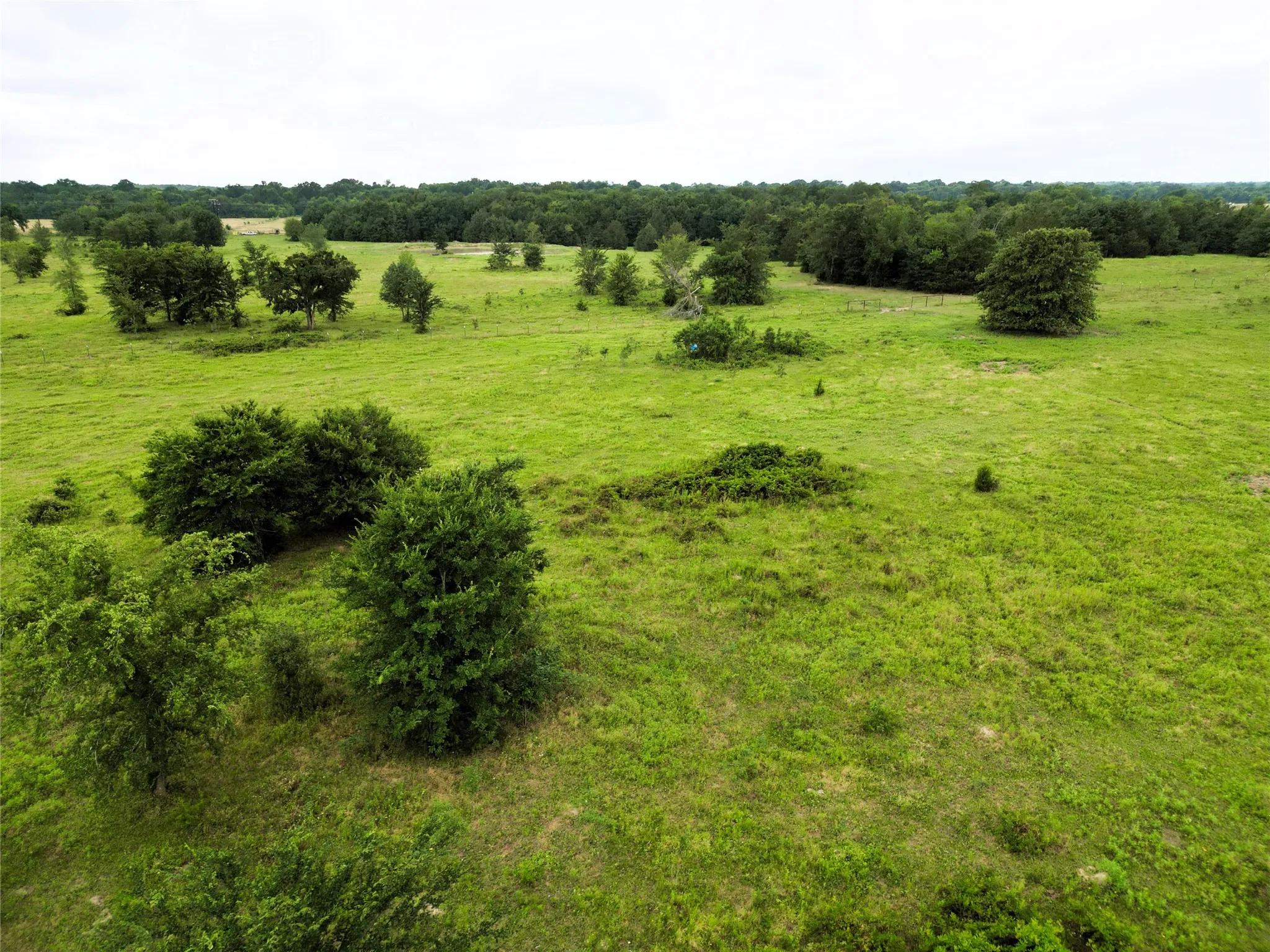 Ranch For Sale in Hopkins County , 30.213Ac County Road 4766, Sulphur Springs, Texas 75482, 0, 0, Garage spaces, 0 Sqft, built in 0, mls#21291380, Real Estate Agent in Sulphur Springs, Homes For Sale in Hopkins county, Homes For Sale in Sulphur Springs, Realtor in Sulphur Springs Texas, Real Estate Brokerage Independent Realty Texas, Luminita Cordes Realtor