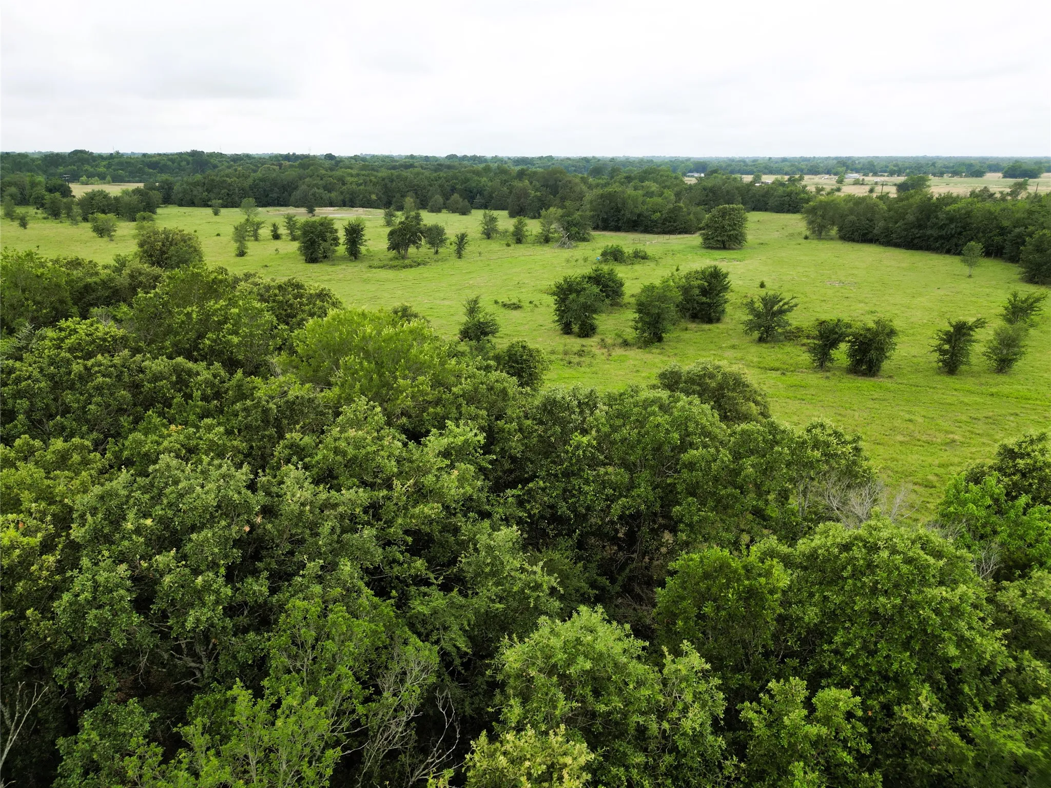 Ranch For Sale in Hopkins County , 30.213Ac County Road 4766, Sulphur Springs, Texas 75482, 0, 0, Garage spaces, 0 Sqft, built in 0, mls#21291380, Real Estate Agent in Sulphur Springs, Homes For Sale in Hopkins county, Homes For Sale in Sulphur Springs, Realtor in Sulphur Springs Texas, Real Estate Brokerage Independent Realty Texas, Luminita Cordes Realtor